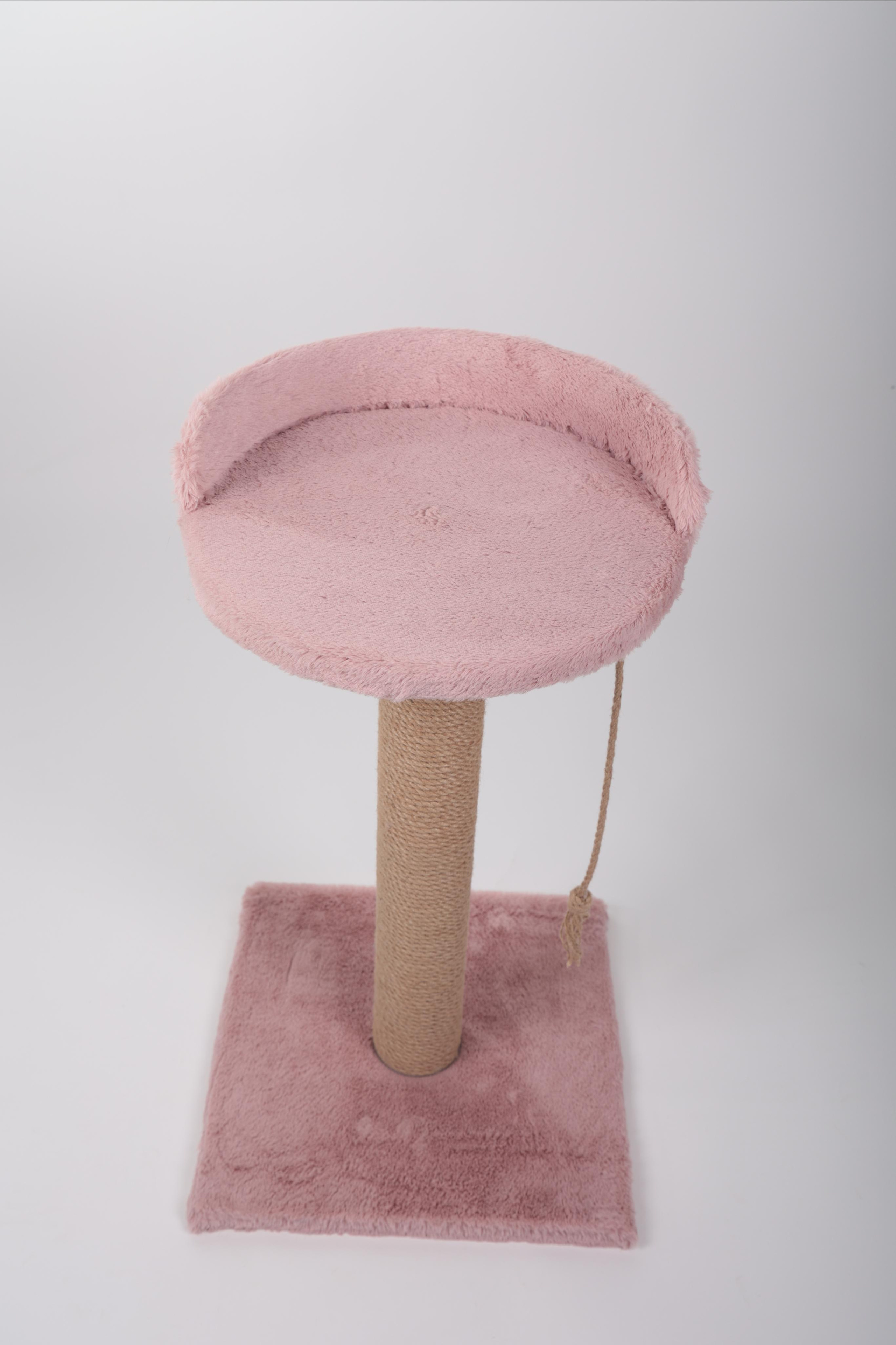 Фотограф Татьяна Марсуверских г. Жуковский, Москва и Мо. Репортажные съёмки, фотосессии, съёмки для маркетплейс. Фотограф для маркетплейсов, фотоуслуги в Жуковском Татьяна Марсуверских