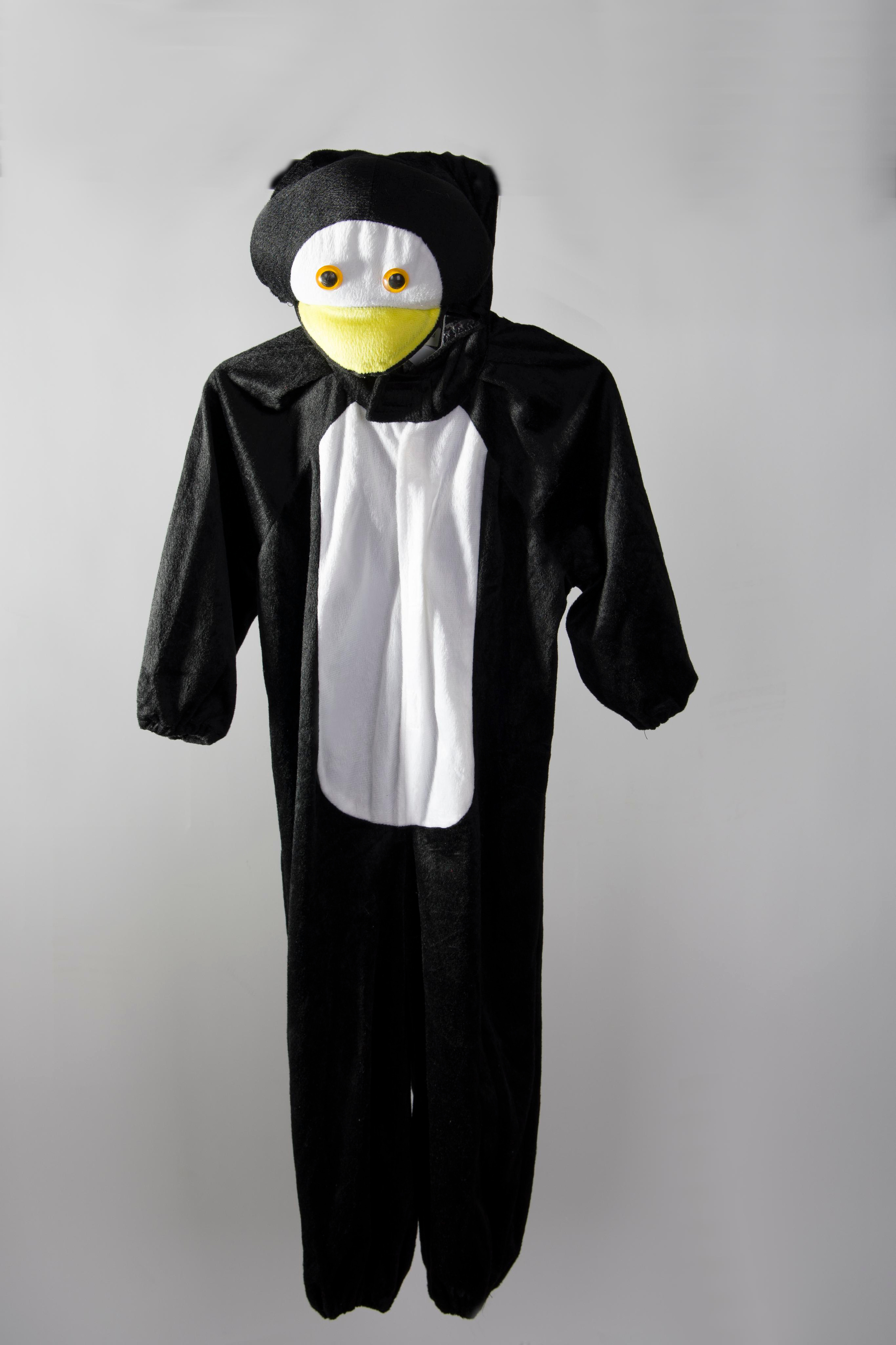 Карнавальные костюмы, вечерние и свадебные платья аренда посуточно, прокат в Жуковском. Одежда для фотосессий, аксессуары. Фотограф для маркетплейсов, фотоуслуги в Жуковском Татьяна Марсуверских