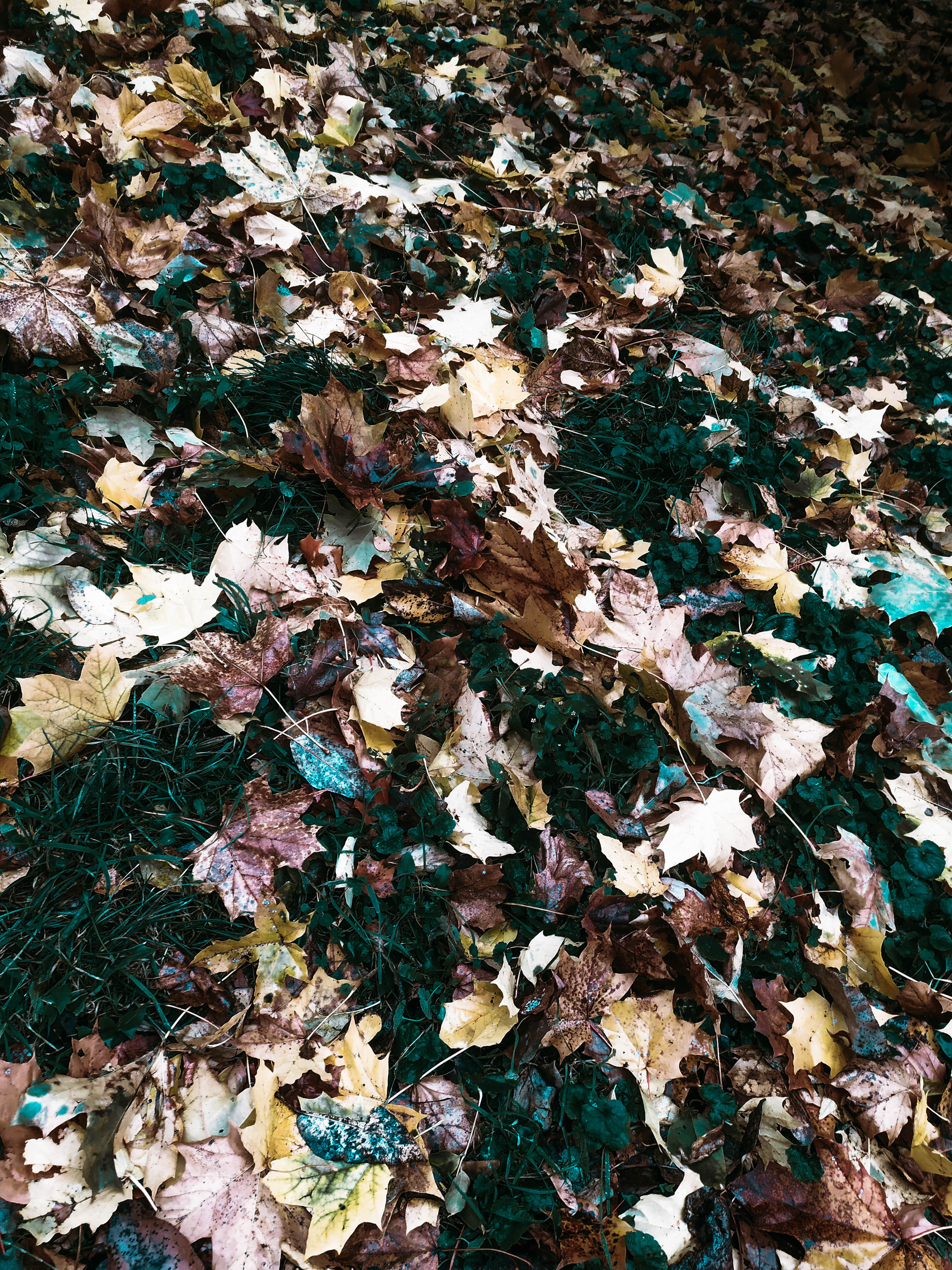 Фотограф Татьяна Марсуверских г. Жуковский, Москва. Репортажные съёмки, фотосессии, фотограф анималист, артфотограф, фотограф пейзажист. Фотограф для маркетплейсов, фотоуслуги в Жуковском Татьяна Марсуверских