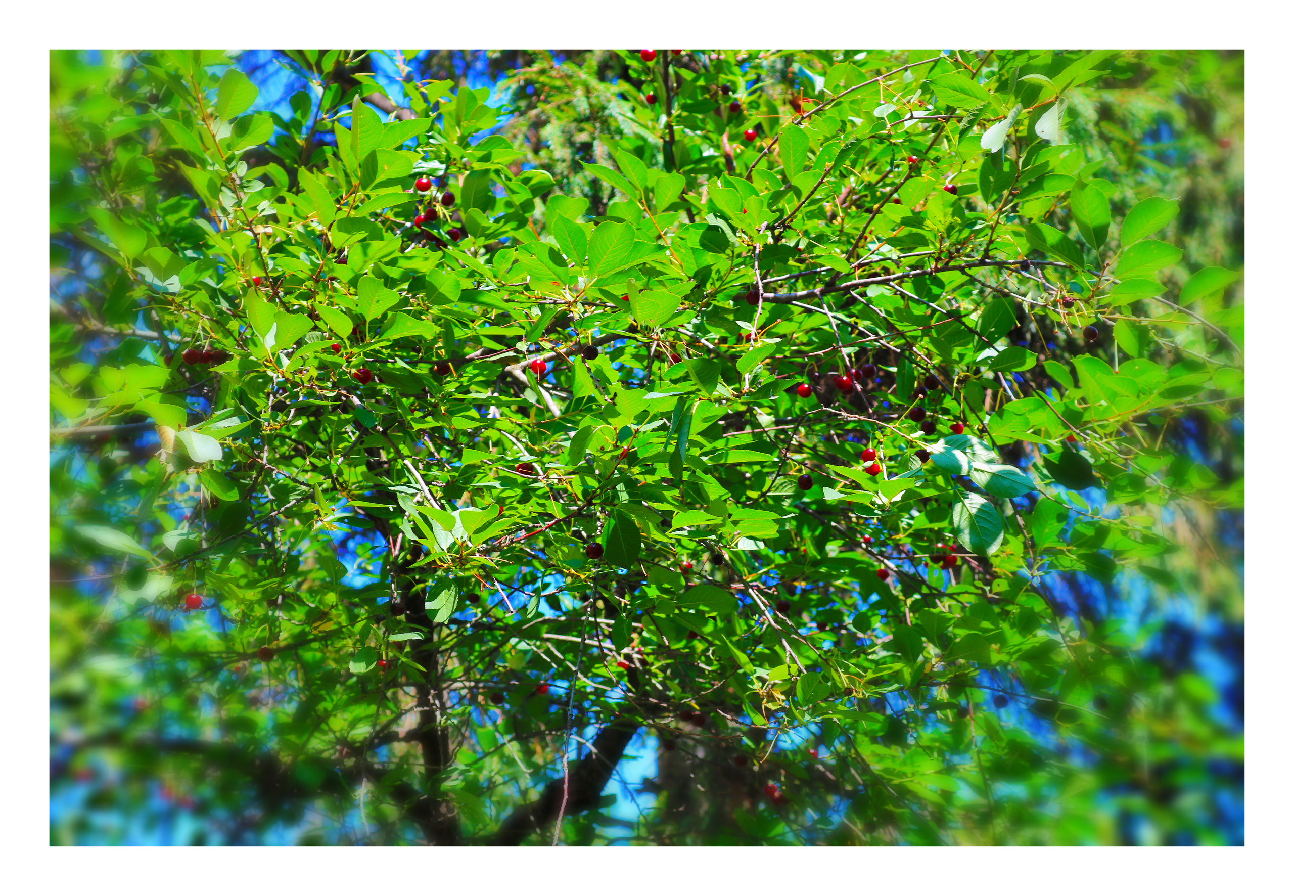 Фотограф Татьяна Марсуверских г. Жуковский, Москва. Репортажные съёмки, фотосессии, фотограф анималист, артфотограф, фотограф пейзажист. Фотограф для маркетплейсов, фотоуслуги в Жуковском Татьяна Марсуверских