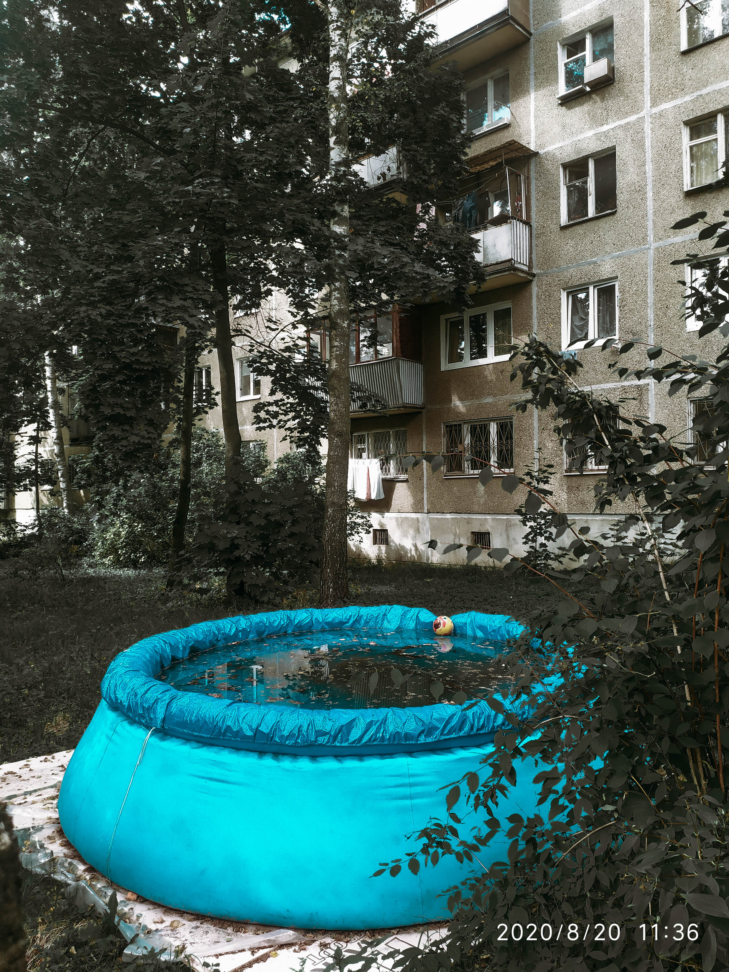 Фотограф Татьяна Марсуверских г. Жуковский, Москва. Репортажные съёмки, фотосессии, фотограф анималист, артфотограф, фотограф пейзажист. Фотограф для маркетплейсов, фотоуслуги в Жуковском Татьяна Марсуверских