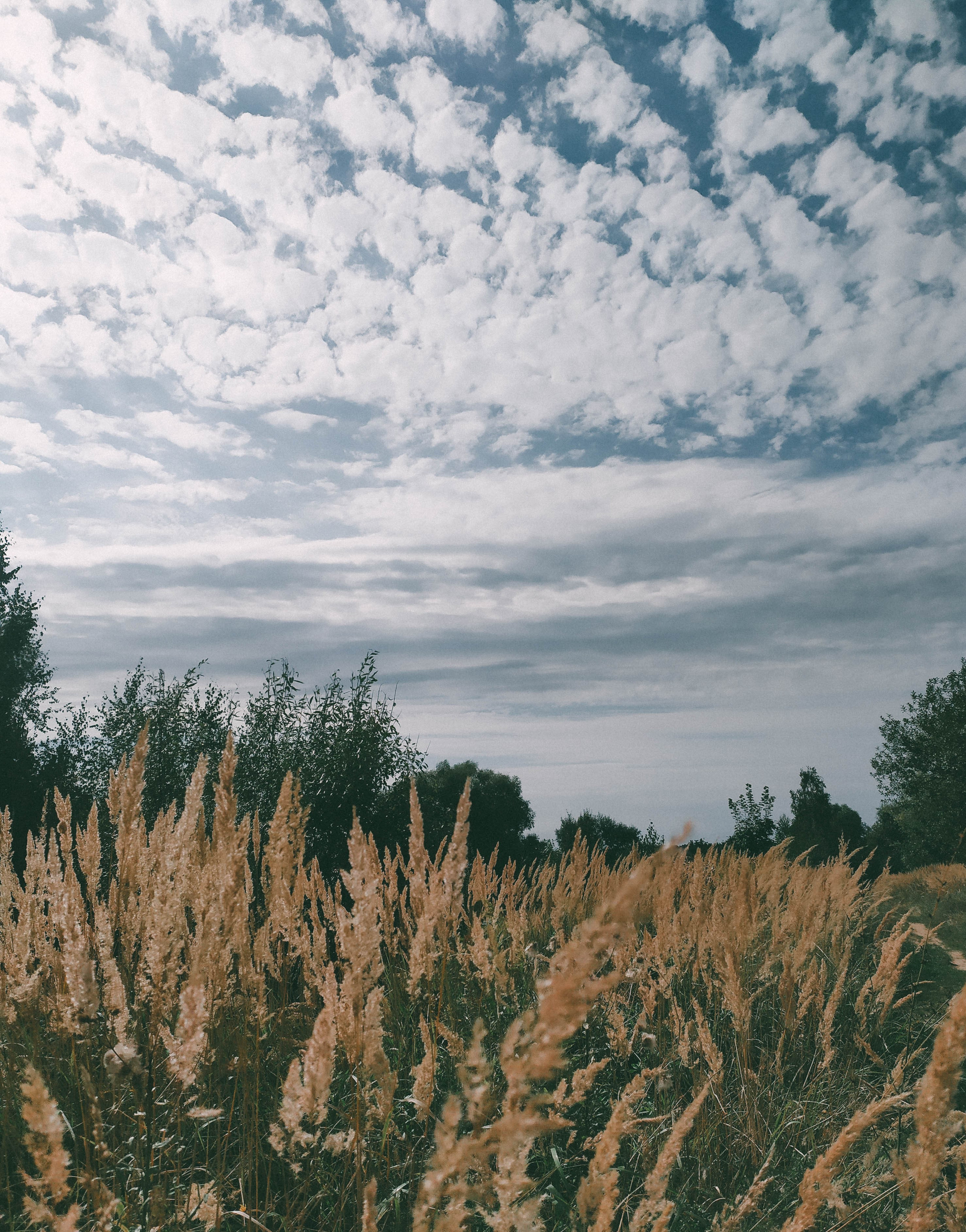 Фотограф Татьяна Марсуверских г. Жуковский, Москва. Репортажные съёмки, фотосессии, фотограф анималист, артфотограф, фотограф пейзажист. Фотограф для маркетплейсов, фотоуслуги в Жуковском Татьяна Марсуверских