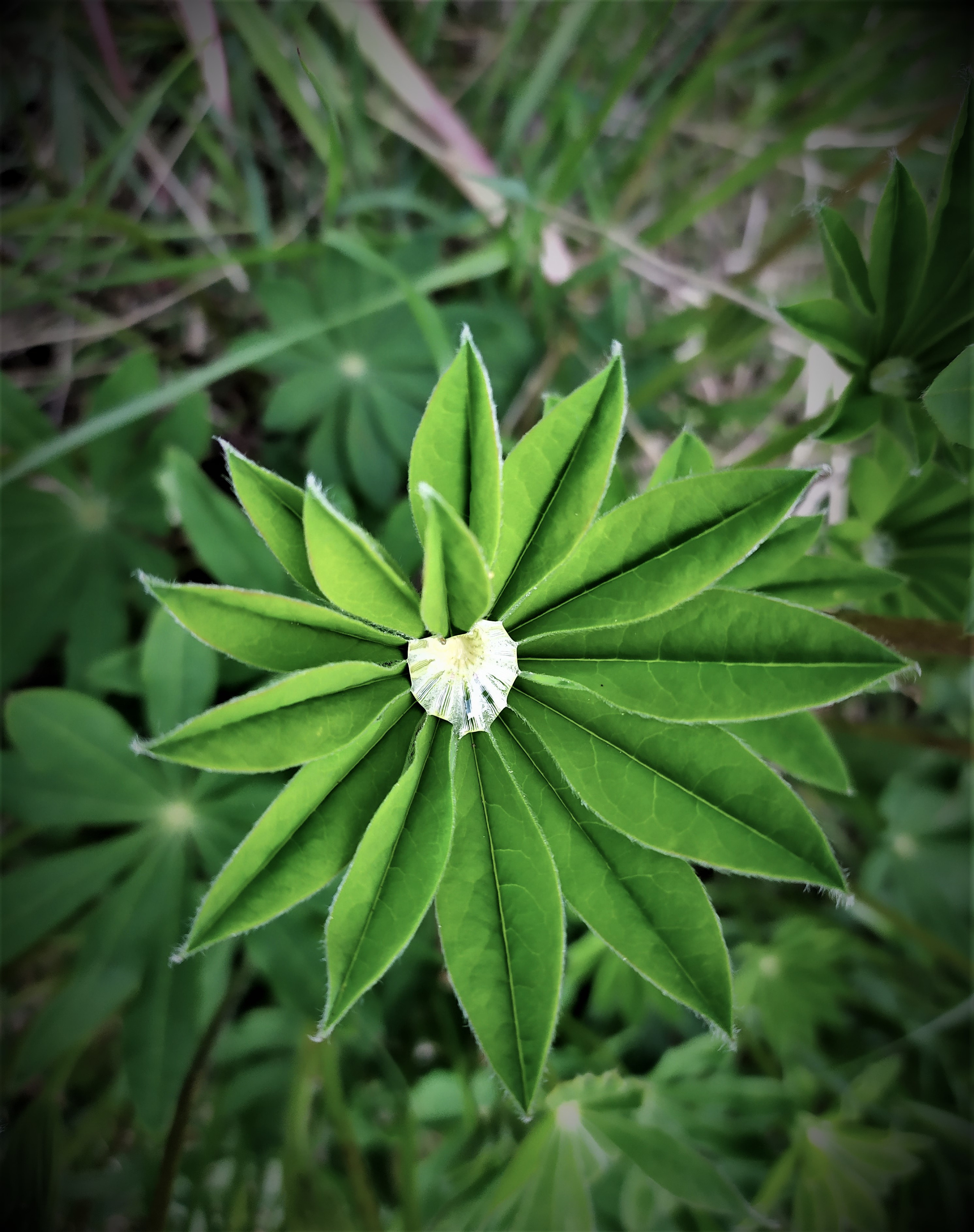 Фотограф Татьяна Марсуверских г. Жуковский, Москва. Репортажные съёмки, фотосессии, фотограф анималист, артфотограф, фотограф пейзажист. Фотограф для маркетплейсов, фотоуслуги в Жуковском Татьяна Марсуверских