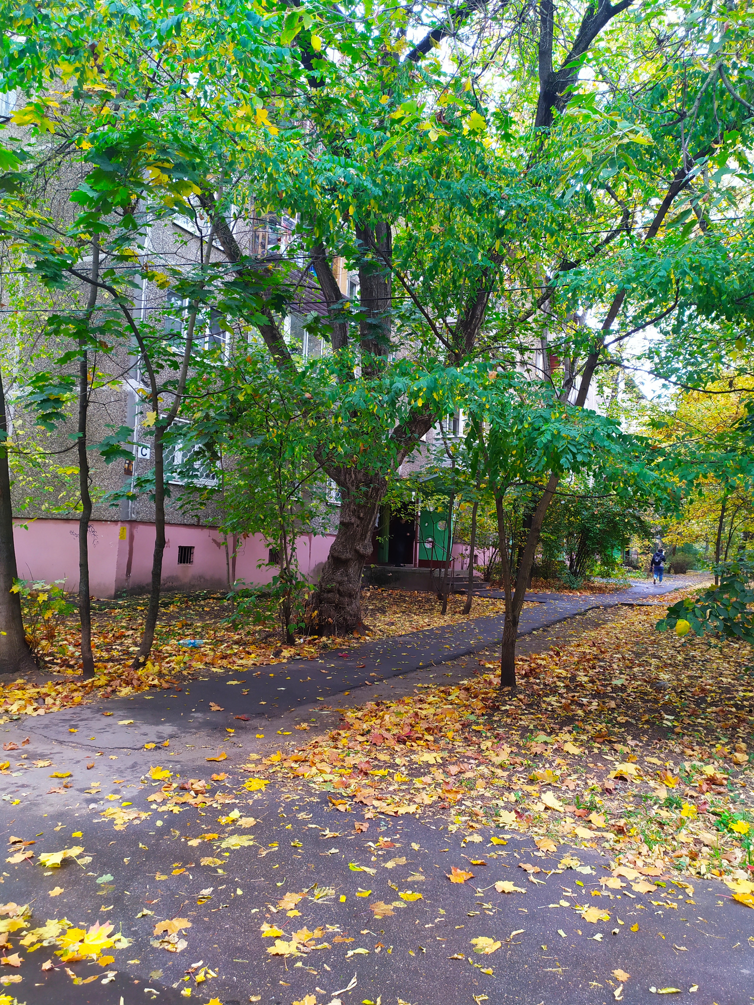 Фотограф Татьяна Марсуверских г. Жуковский, Москва. Репортажные съёмки, фотосессии, фотограф анималист, артфотограф, фотограф пейзажист. Фотограф для маркетплейсов, фотоуслуги в Жуковском Татьяна Марсуверских