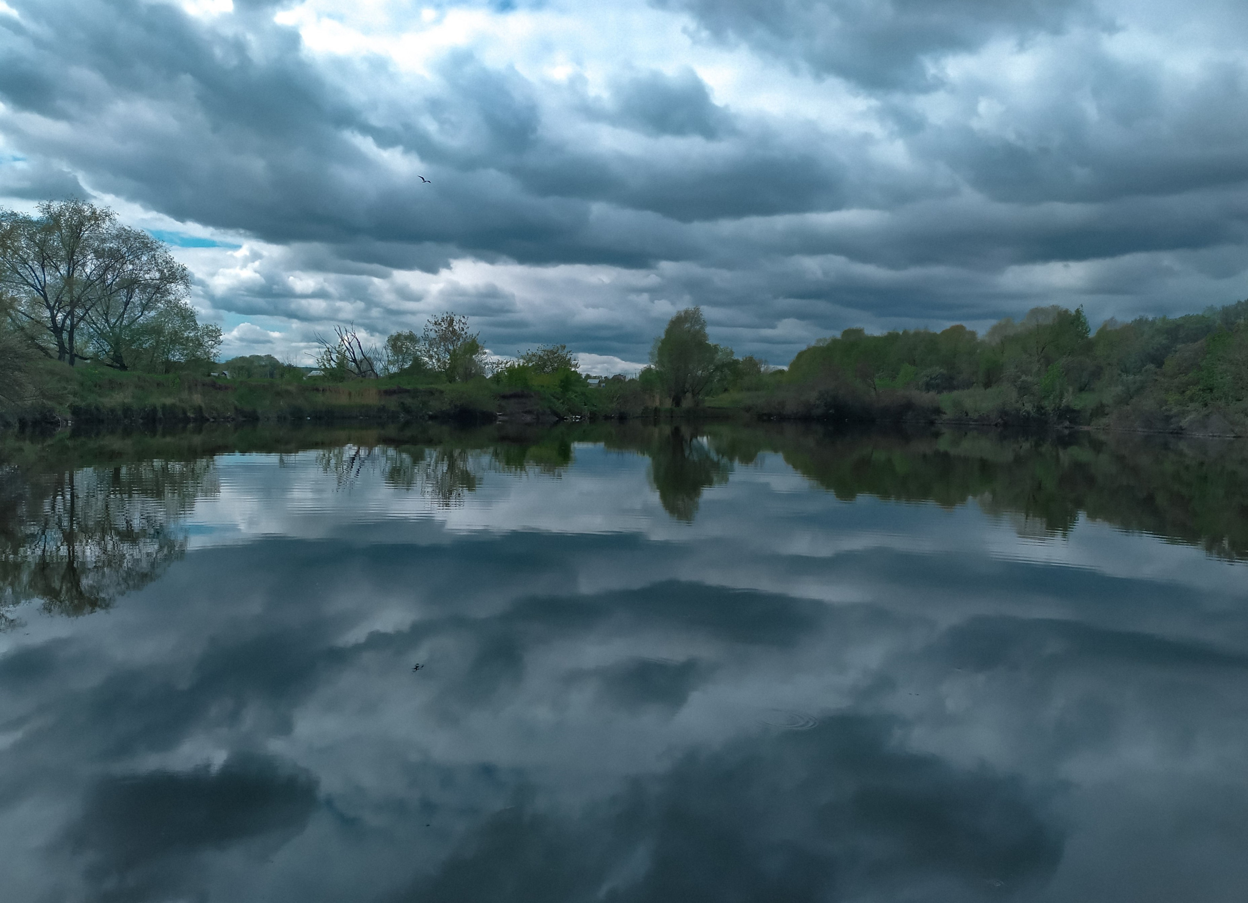 Фотограф Татьяна Марсуверских г. Жуковский, Москва. Репортажные съёмки, фотосессии, фотограф анималист, артфотограф, фотограф пейзажист. Фотограф для маркетплейсов, фотоуслуги в Жуковском Татьяна Марсуверских
