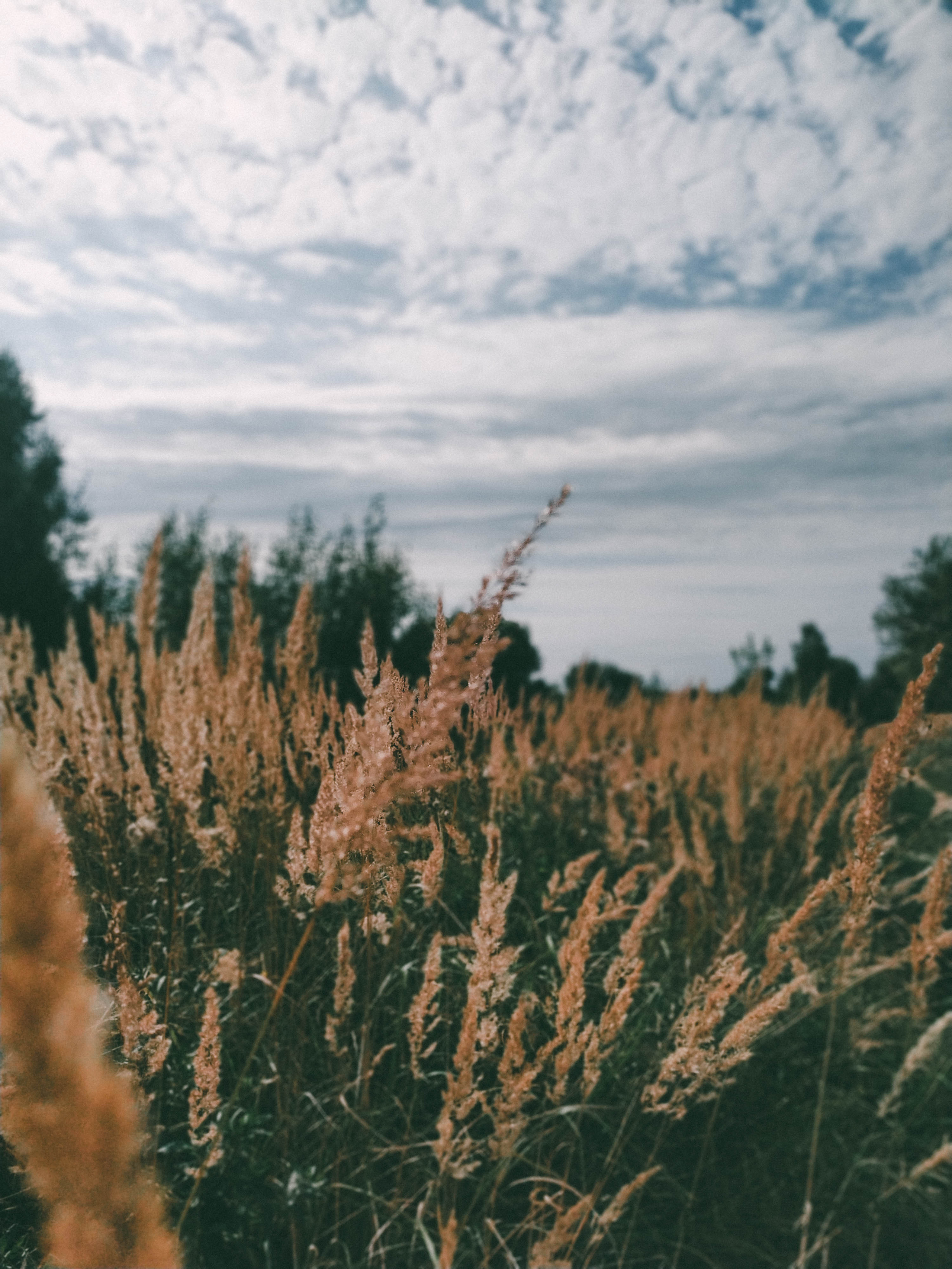 Фотограф Татьяна Марсуверских г. Жуковский, Москва. Репортажные съёмки, фотосессии, фотограф анималист, артфотограф, фотограф пейзажист. Фотограф для маркетплейсов, фотоуслуги в Жуковском Татьяна Марсуверских