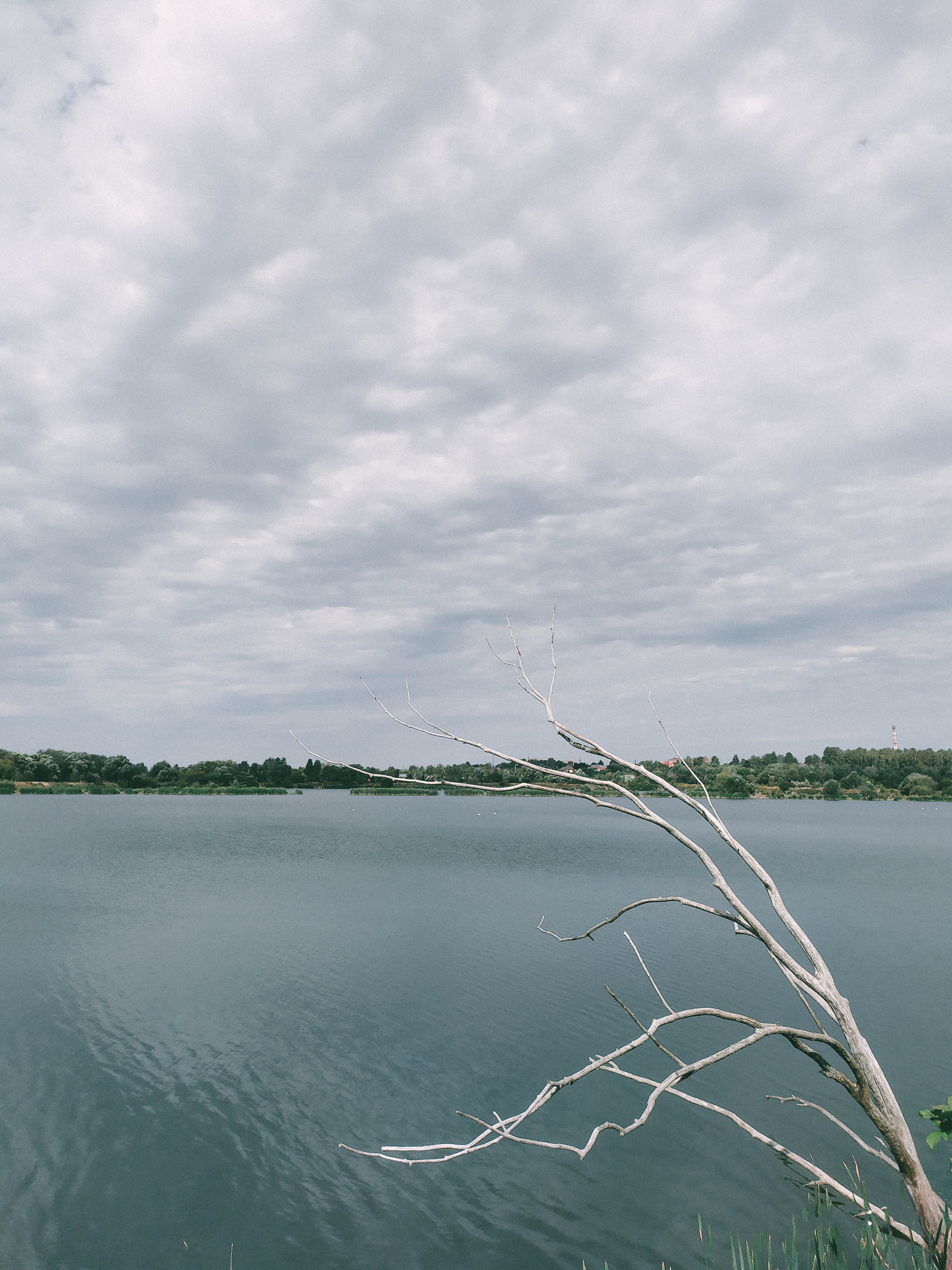 Фотограф Татьяна Марсуверских г. Жуковский, Москва. Репортажные съёмки, фотосессии, фотограф анималист, артфотограф, фотограф пейзажист. Фотограф для маркетплейсов, фотоуслуги в Жуковском Татьяна Марсуверских