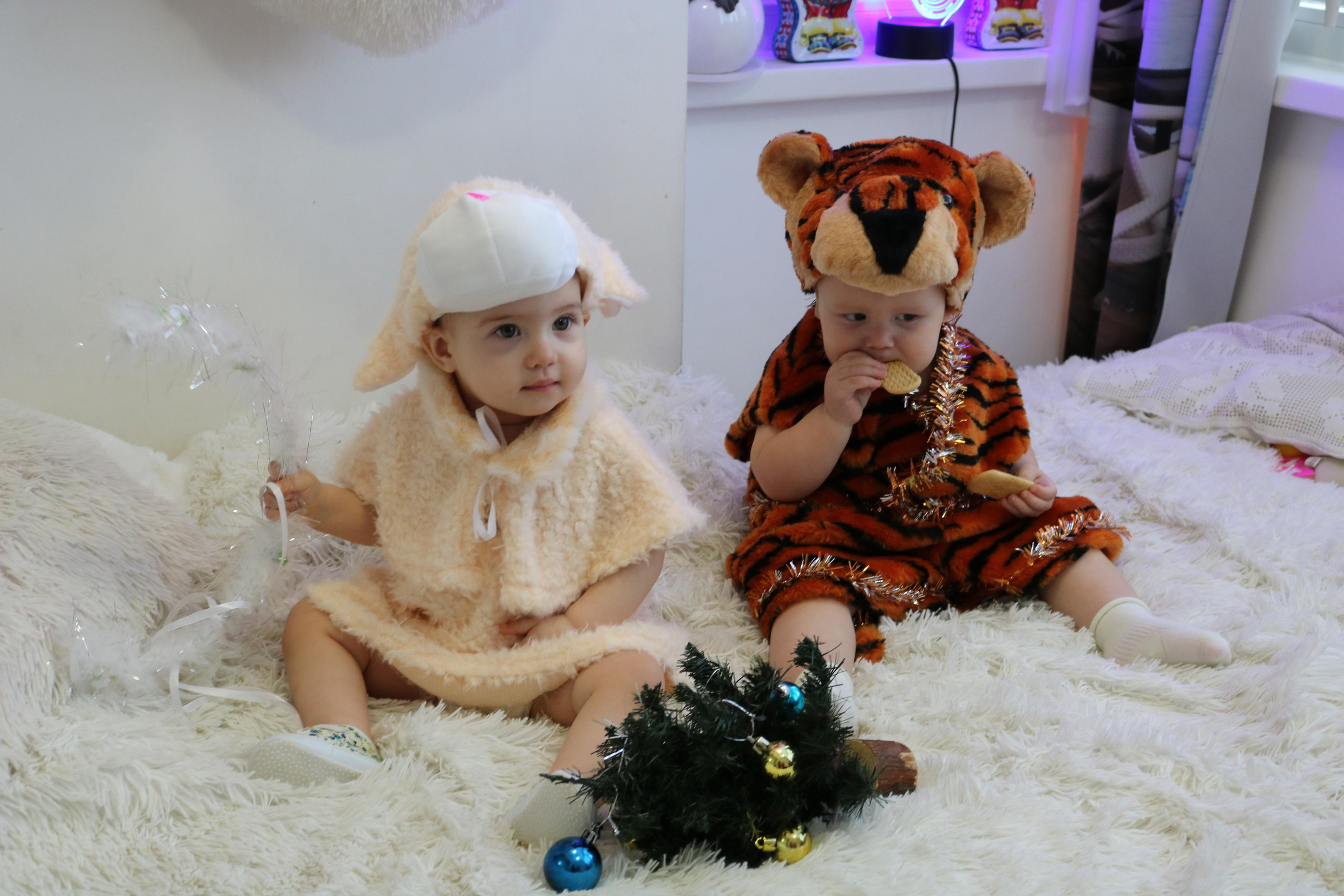 Фотограф Татьяна Марсуверских г. Жуковский, Москва и Мо. Репортажные съёмки, фотосессии,  фотограф анималист, фотосъёмка животных. Фотограф для маркетплейсов, фотоуслуги в Жуковском Татьяна Марсуверских