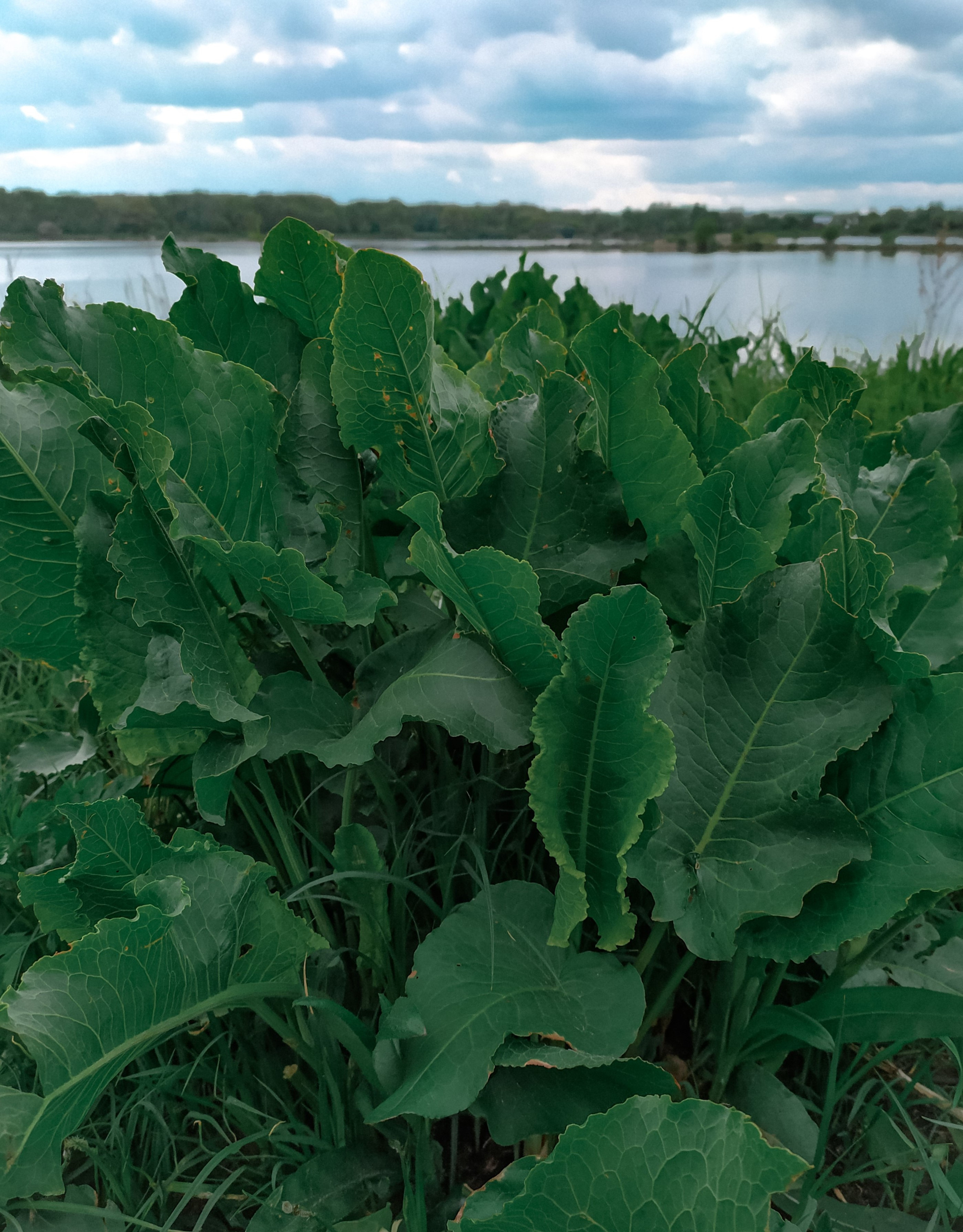 Фотограф Татьяна Марсуверских г. Жуковский, Москва. Репортажные съёмки, фотосессии, фотограф анималист, артфотограф, фотограф пейзажист. Фотограф для маркетплейсов, фотоуслуги в Жуковском Татьяна Марсуверских