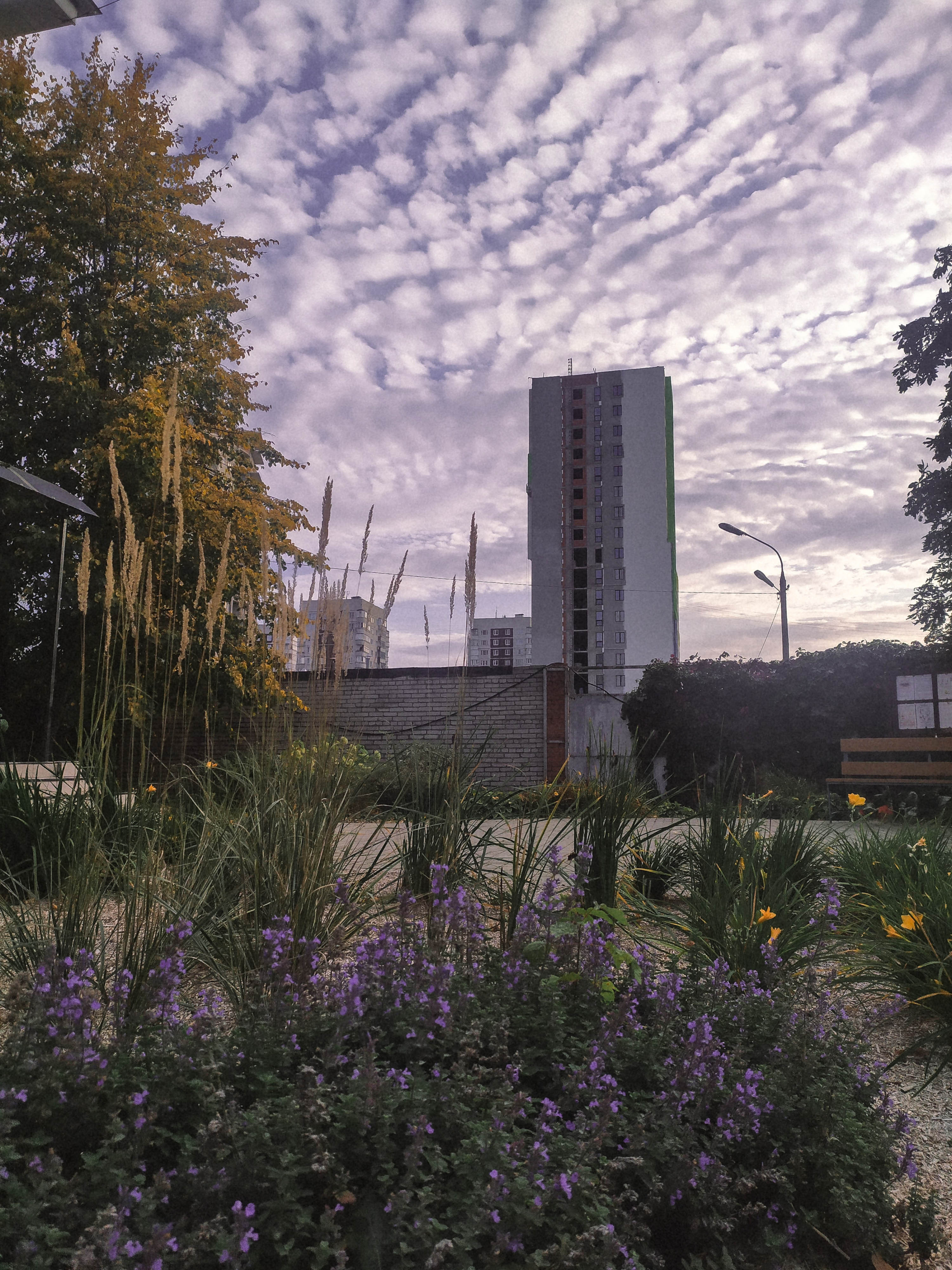Фотограф Татьяна Марсуверских г. Жуковский, Москва. Репортажные съёмки, фотосессии, фотограф анималист, артфотограф, фотограф пейзажист. Фотограф для маркетплейсов, фотоуслуги в Жуковском Татьяна Марсуверских