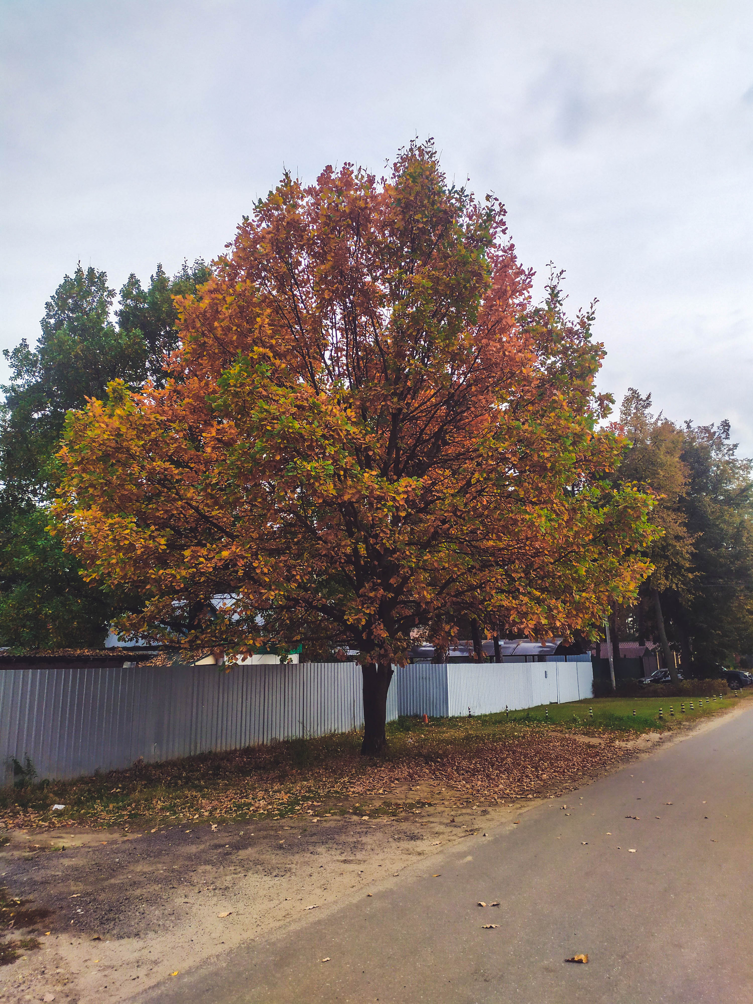 Фотограф Татьяна Марсуверских г. Жуковский, Москва. Репортажные съёмки, фотосессии, фотограф анималист, артфотограф, фотограф пейзажист. Фотограф для маркетплейсов, фотоуслуги в Жуковском Татьяна Марсуверских