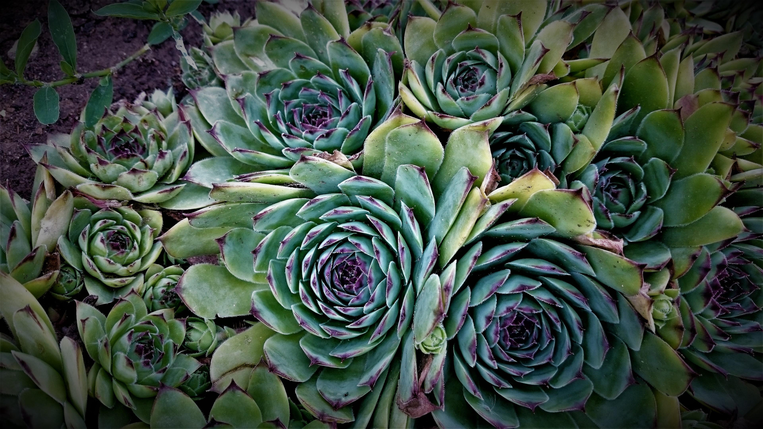 Фотограф Татьяна Марсуверских г. Жуковский, Москва. Репортажные съёмки, фотосессии, фотограф анималист, артфотограф, фотограф пейзажист. Фотограф для маркетплейсов, фотоуслуги в Жуковском Татьяна Марсуверских