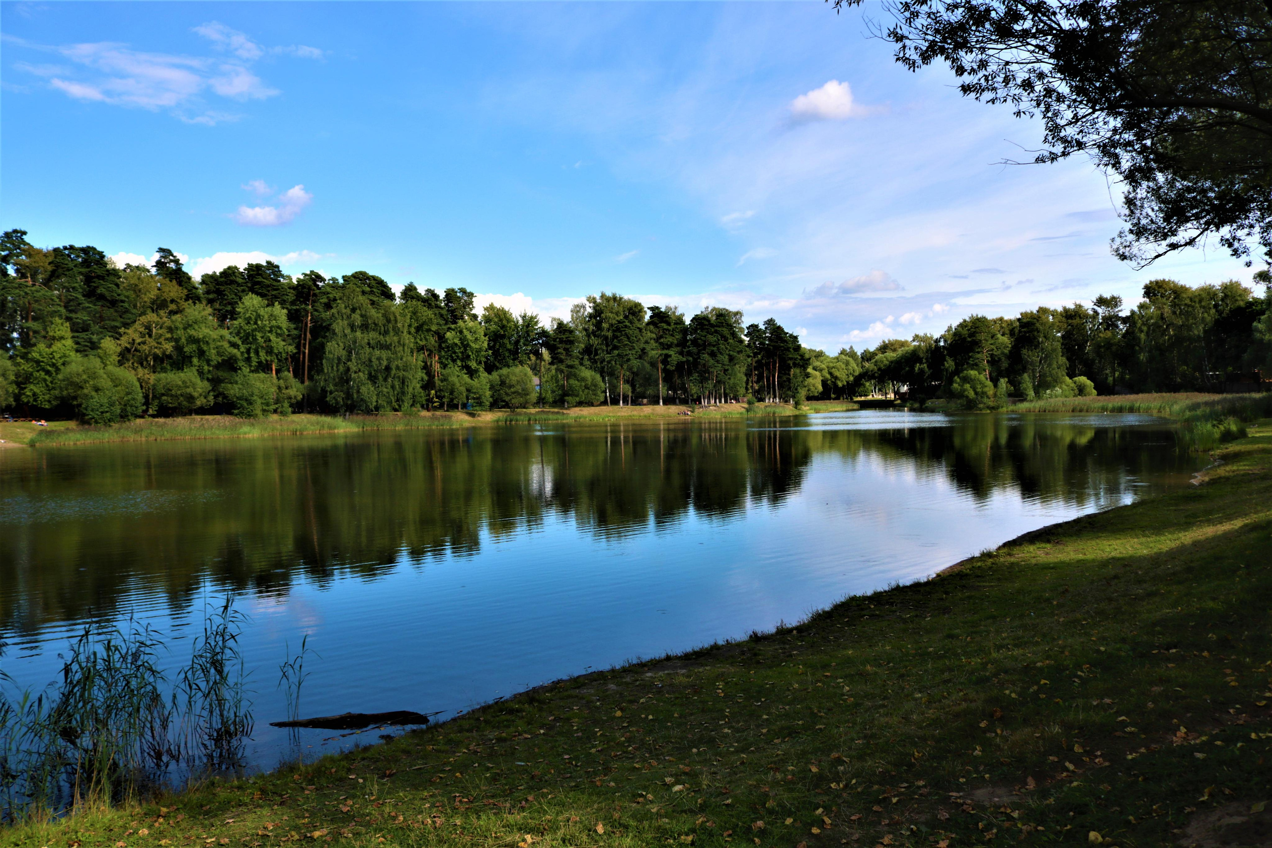 Фотограф Татьяна Марсуверских г. Жуковский, Москва. Репортажные съёмки, фотосессии, фотограф анималист, артфотограф, фотограф пейзажист. Фотограф для маркетплейсов, фотоуслуги в Жуковском Татьяна Марсуверских