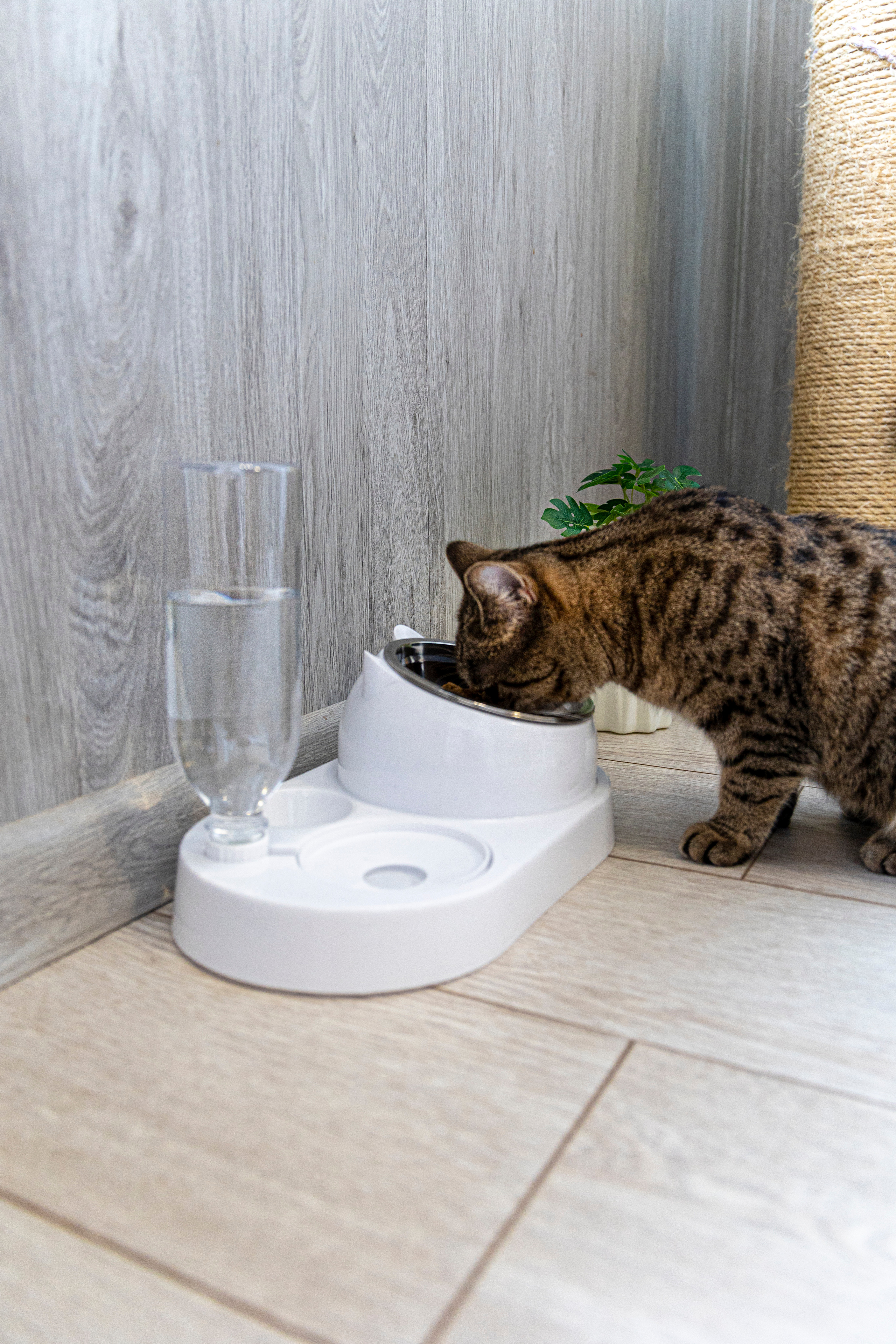 Фотограф Татьяна Марсуверских г. Жуковский, Москва и Мо. Репортажные съёмки, фотосессии, съёмки для маркетплейс. Фотограф для маркетплейсов, фотоуслуги в Жуковском Татьяна Марсуверских