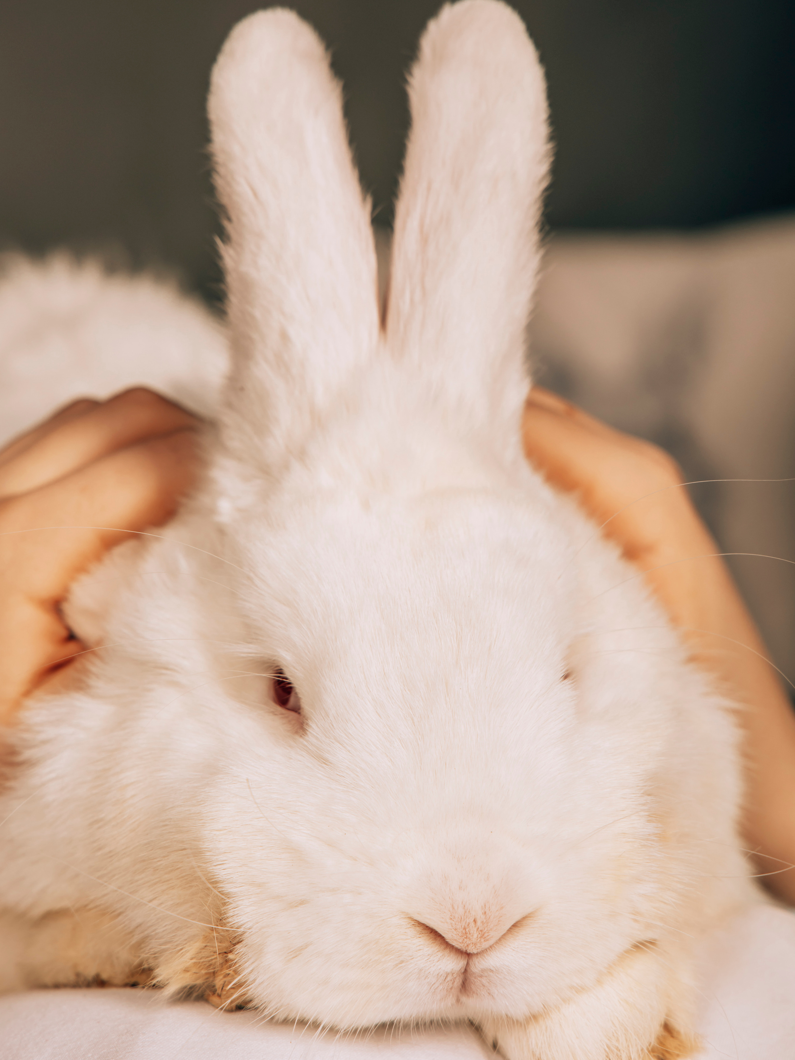 Фотограф Татьяна Марсуверских г. Жуковский, Москва. Репортаж, арт фотограф, пейзажист, реставрация фотографий, фотосувениры,реквизит. Фотограф для маркетплейсов, фотоуслуги в Жуковском Татьяна Марсуверских
