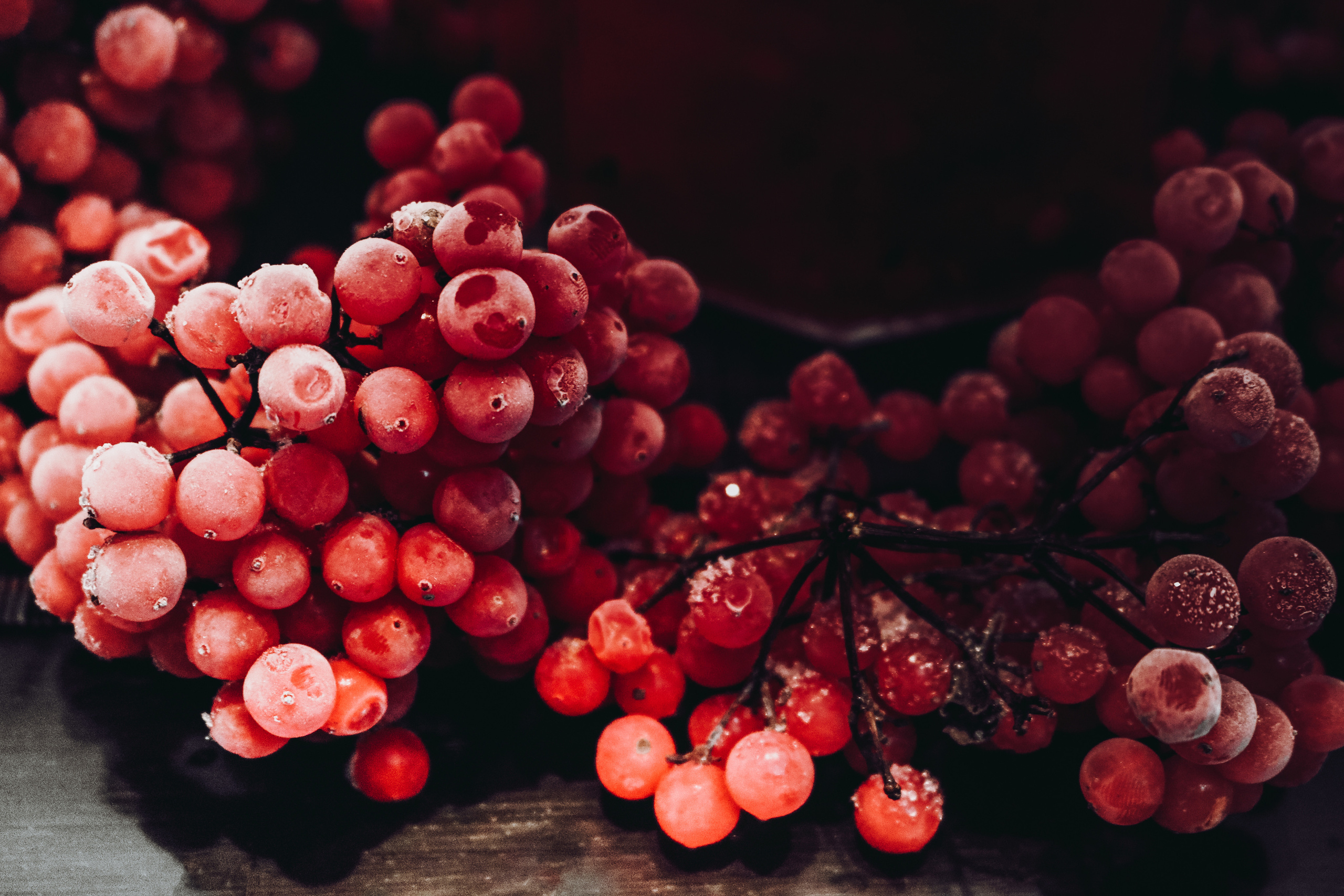 Фотограф Татьяна Марсуверских г. Жуковский, Москва и Мо. Репортажные съёмки, фотосессии, корпоративы, эмоциональный портрет, фуд фотограф. Фотограф для маркетплейсов, фотоуслуги в Жуковском Татьяна Марсуверских