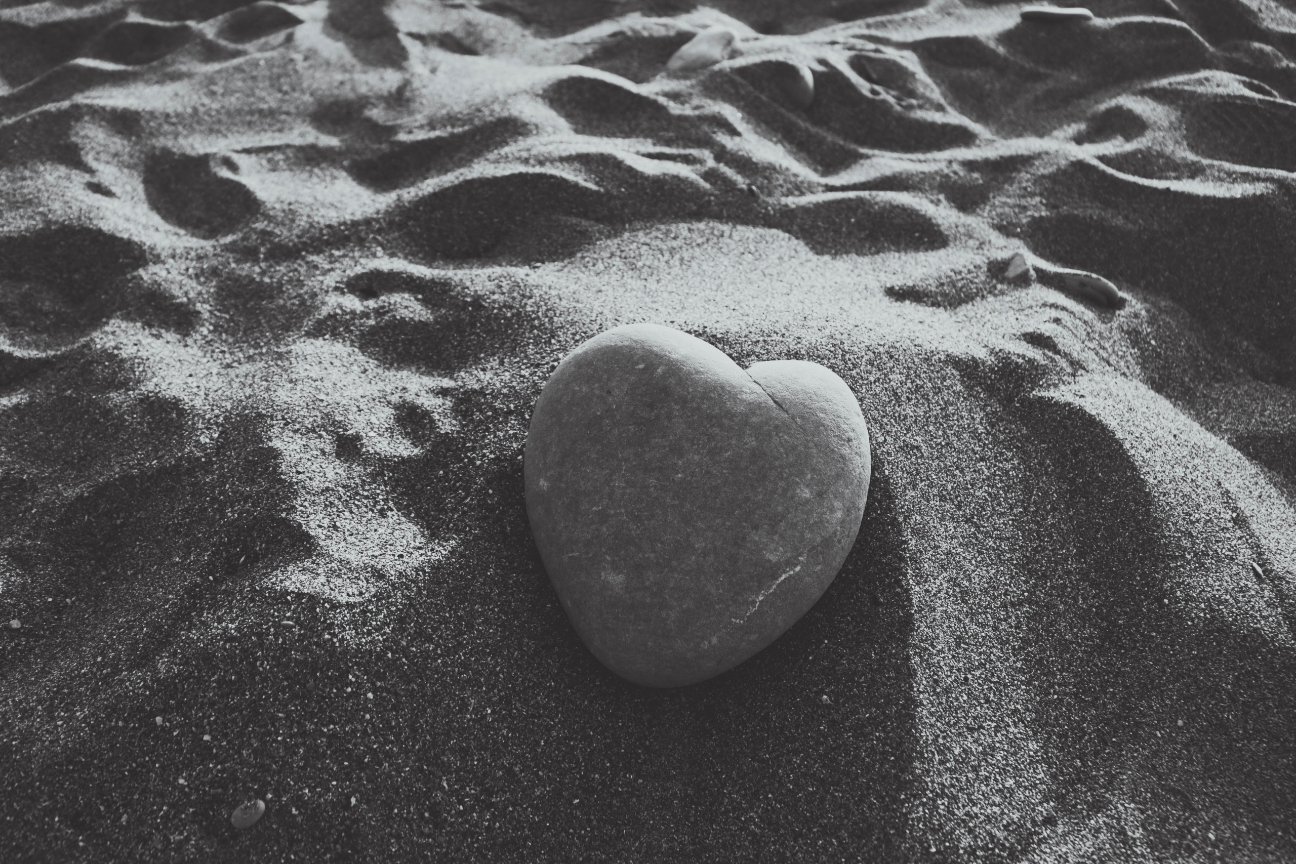 Фотограф Татьяна Марсуверских г. Жуковский, Москва. Репортажные съёмки, фотосессии, фотограф анималист, артфотограф, фотограф пейзажист. Фотограф для маркетплейсов, фотоуслуги в Жуковском Татьяна Марсуверских