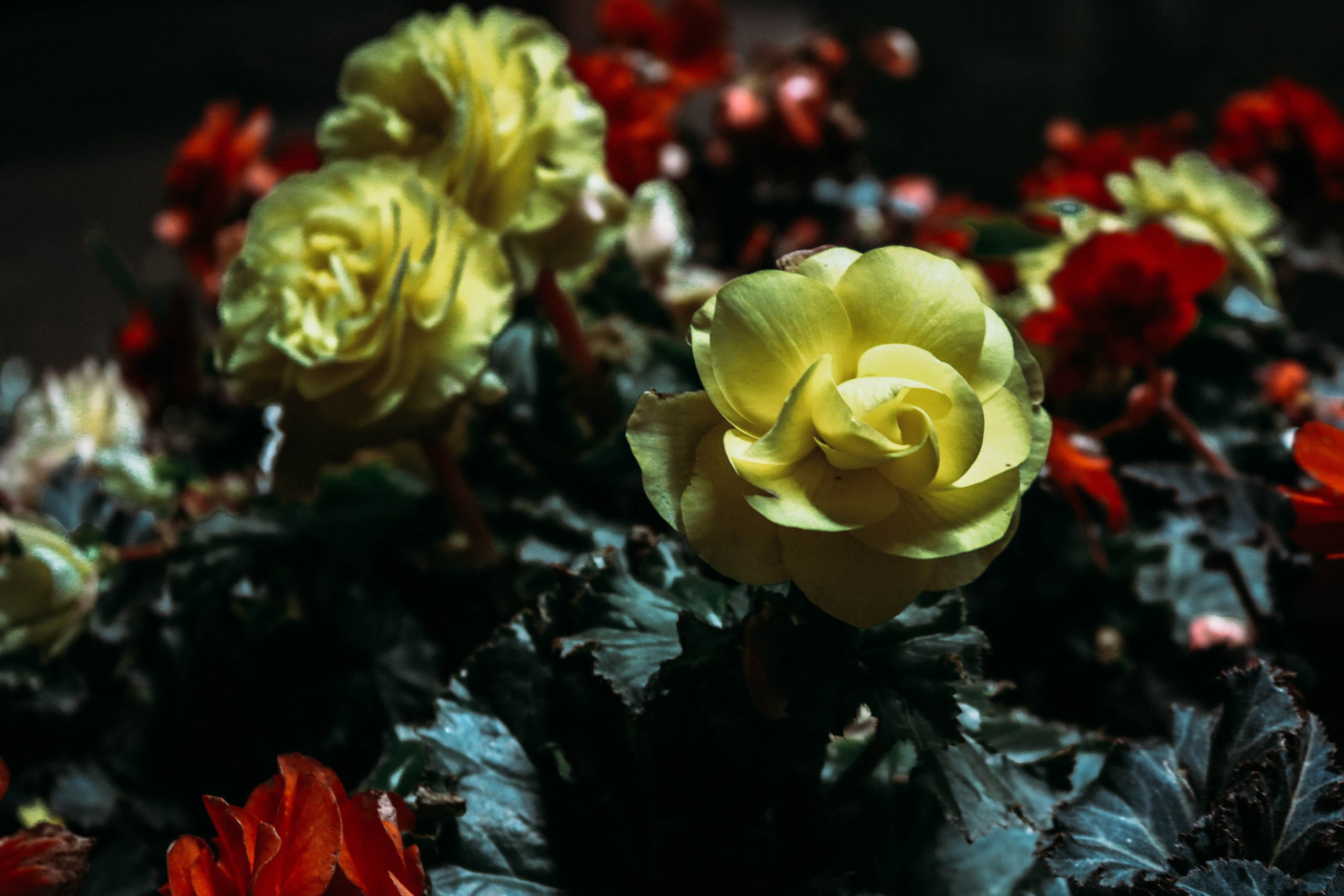 Фотограф Татьяна Марсуверских г. Жуковский, Москва. Репортажные съёмки, фотосессии, фотограф анималист, артфотограф, фотограф пейзажист. Фотограф для маркетплейсов, фотоуслуги в Жуковском Татьяна Марсуверских