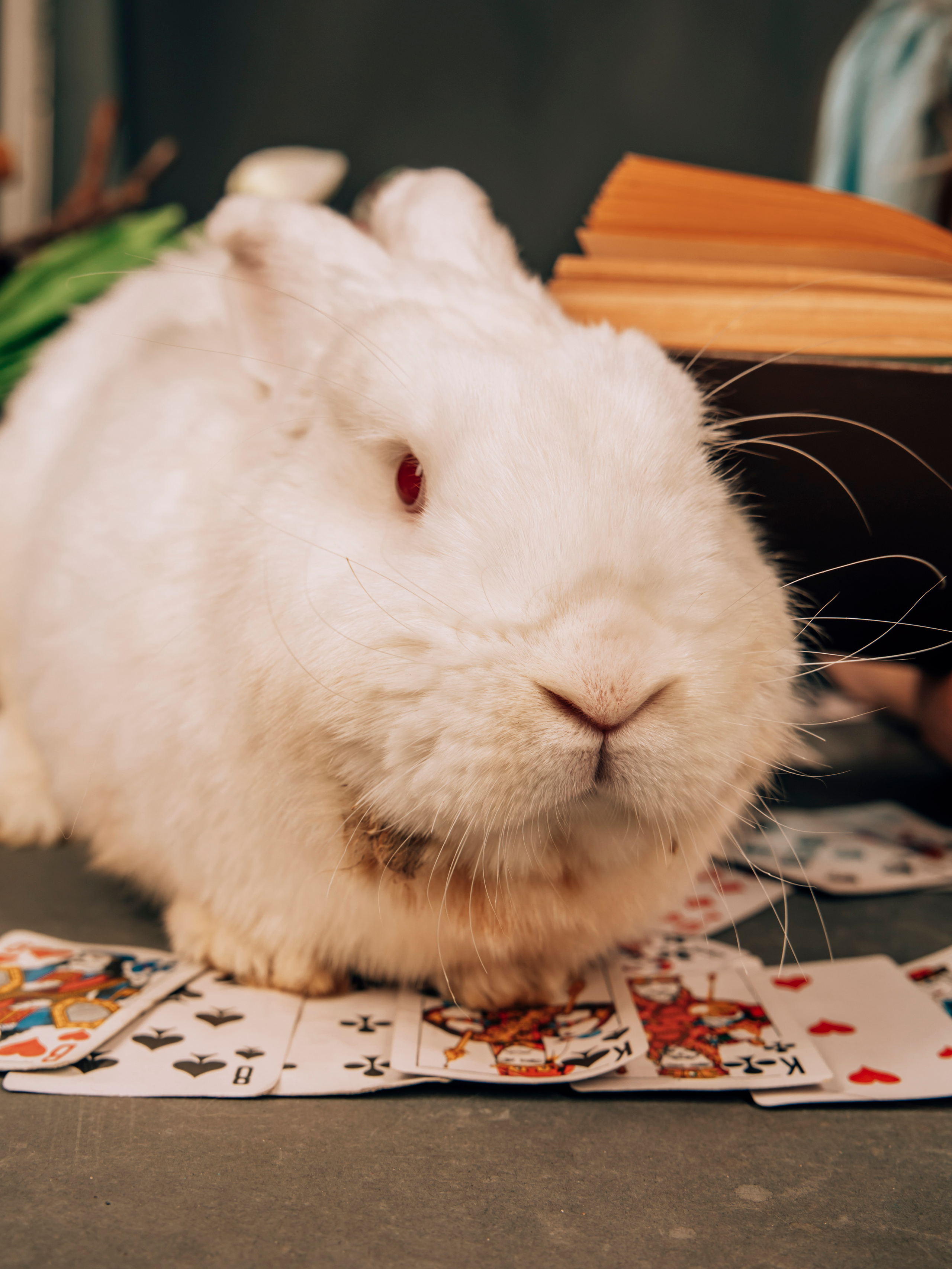 Фотограф Татьяна Марсуверских г. Жуковский, Москва. Репортаж, арт фотограф, пейзажист, реставрация фотографий, фотосувениры,реквизит. Фотограф для маркетплейсов, фотоуслуги в Жуковском Татьяна Марсуверских