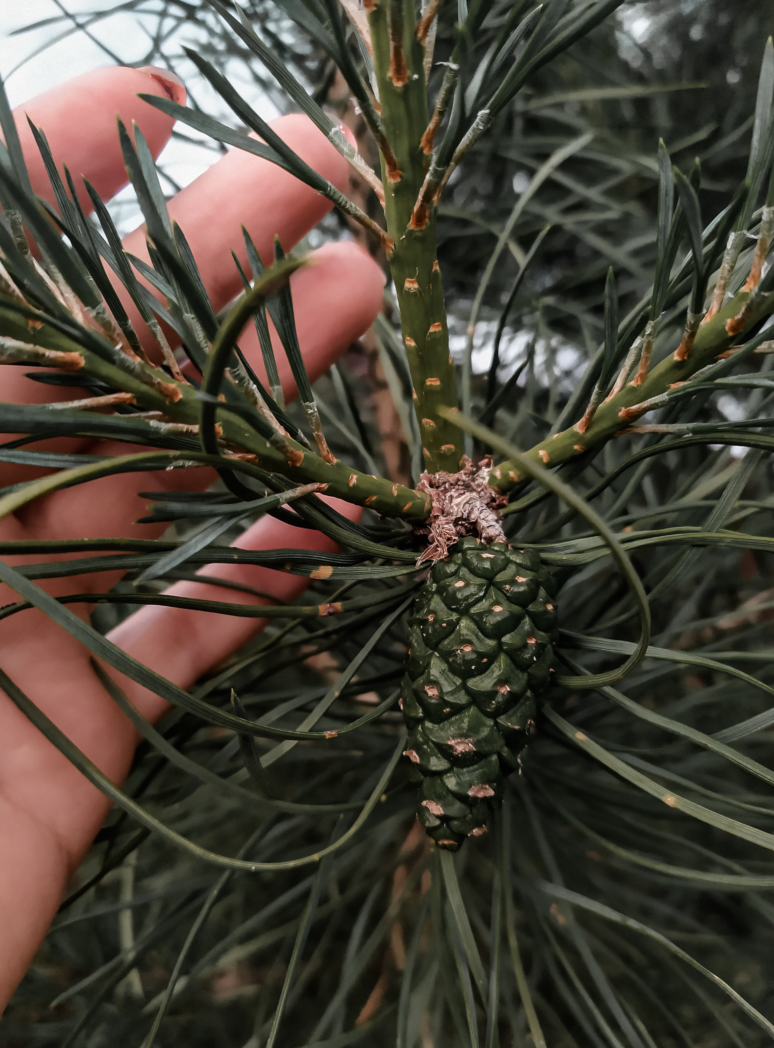 Фотограф Татьяна Марсуверских г. Жуковский, Москва. Репортажные съёмки, фотосессии, фотограф анималист, артфотограф, фотограф пейзажист. Фотограф для маркетплейсов, фотоуслуги в Жуковском Татьяна Марсуверских