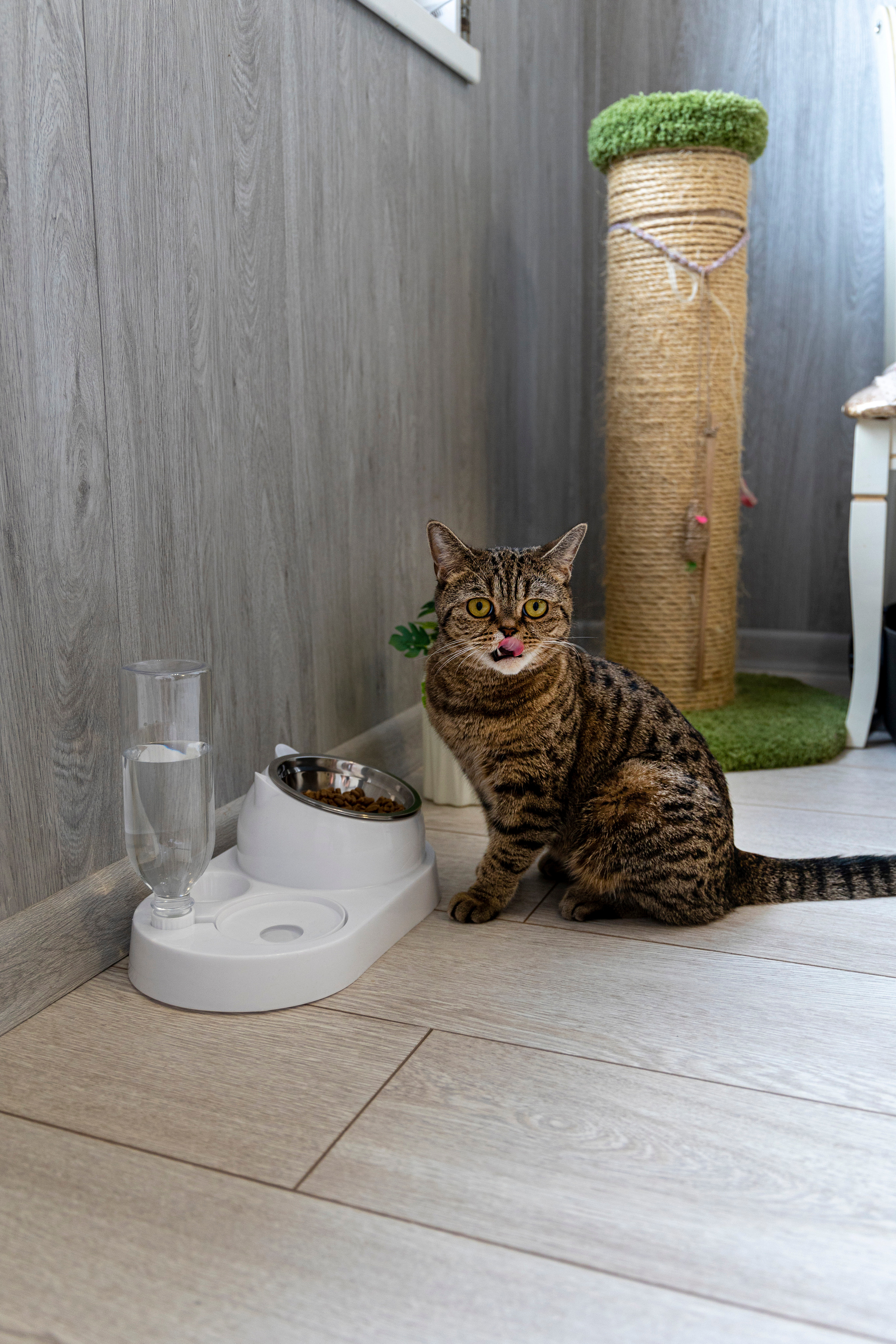 Фотограф Татьяна Марсуверских г. Жуковский, Москва и Мо. Репортажные съёмки, фотосессии, съёмки для маркетплейс. Фотограф для маркетплейсов, фотоуслуги в Жуковском Татьяна Марсуверских