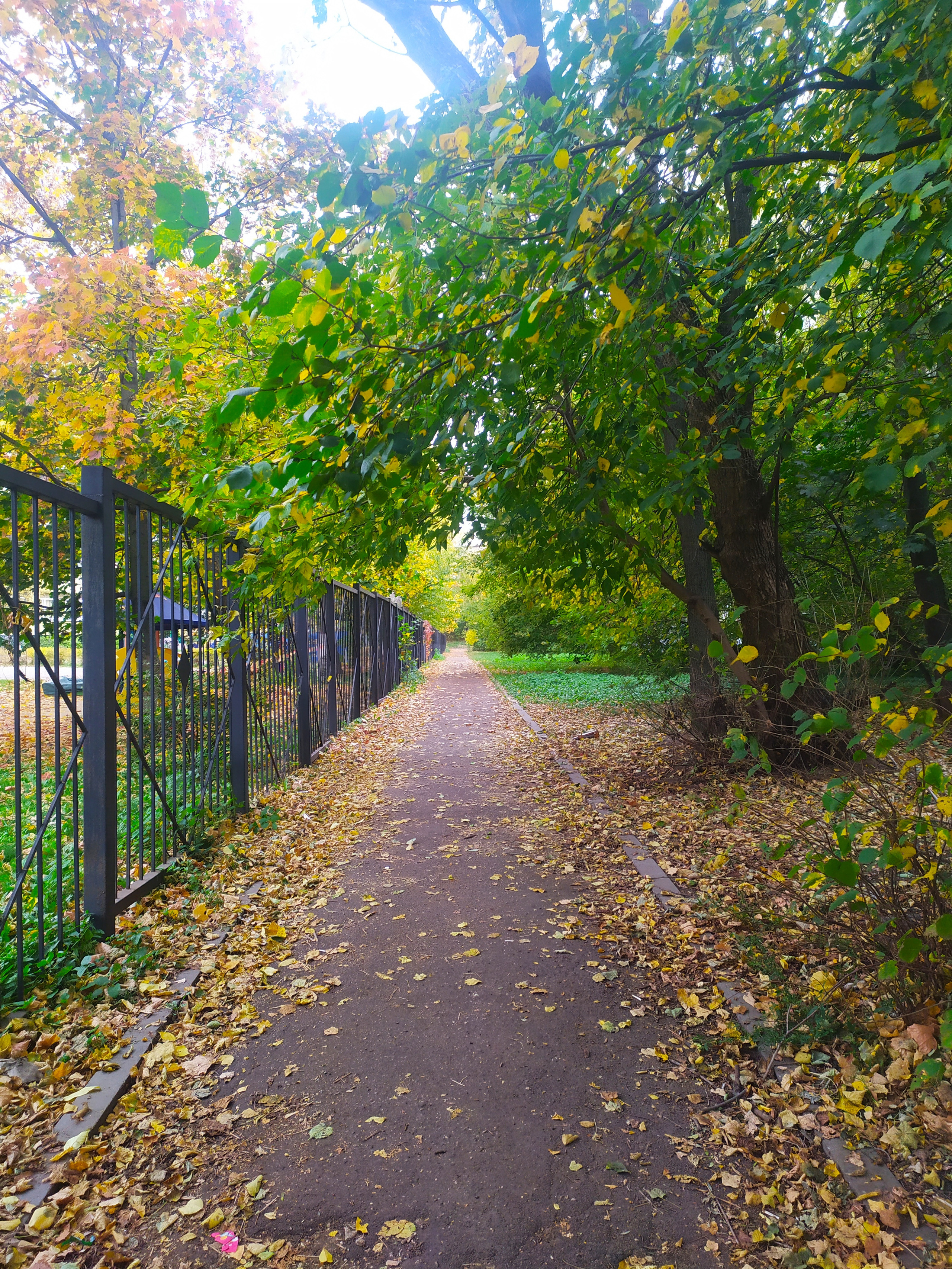 Фотограф Татьяна Марсуверских г. Жуковский, Москва. Репортажные съёмки, фотосессии, фотограф анималист, артфотограф, фотограф пейзажист. Фотограф для маркетплейсов, фотоуслуги в Жуковском Татьяна Марсуверских