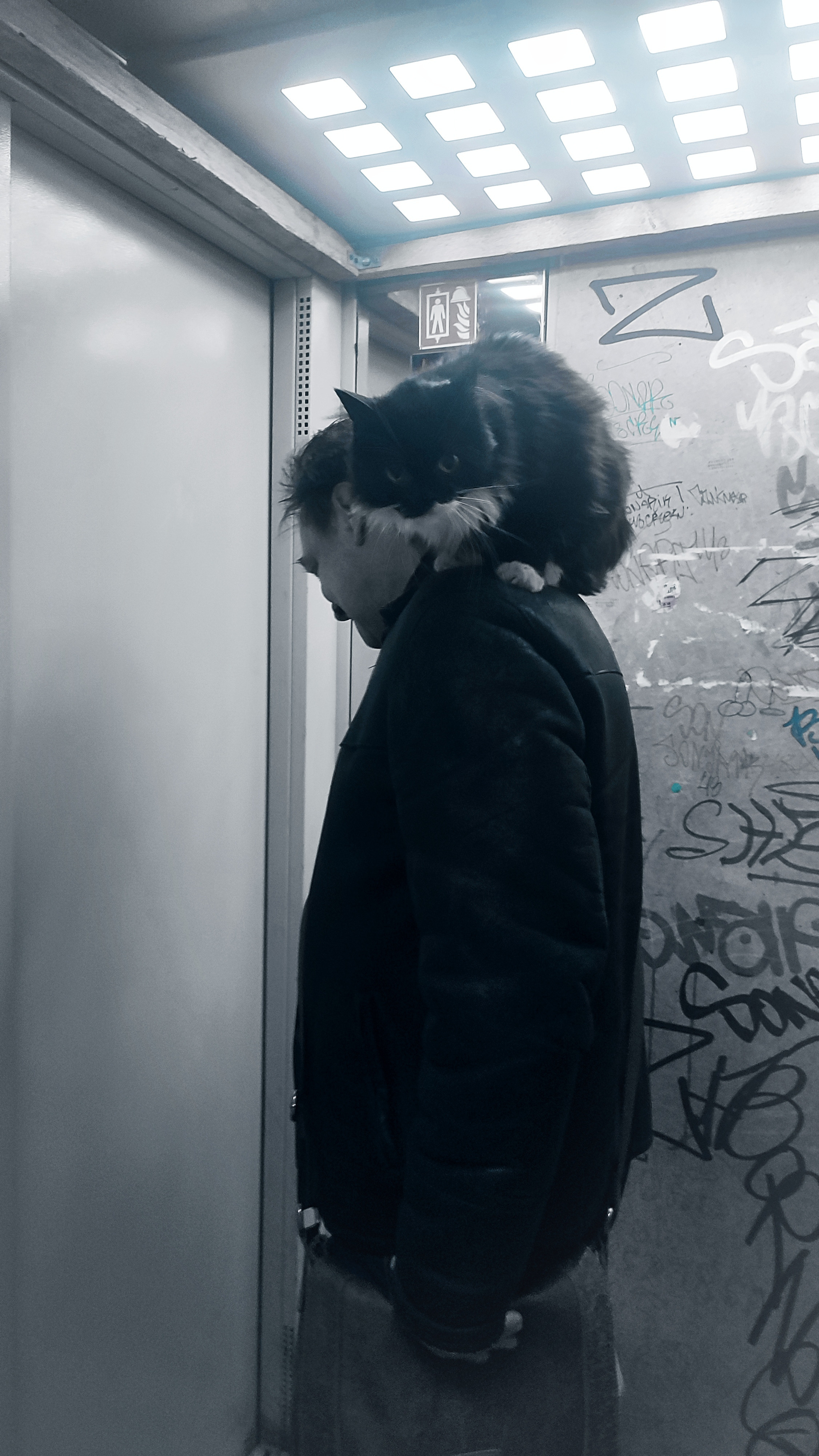 Фотограф Татьяна Марсуверских г. Жуковский, Москва и Мо. Репортажные съёмки, фотосессии,  фотограф анималист, фотосъёмка животных. Фотограф для маркетплейсов, фотоуслуги в Жуковском Татьяна Марсуверских