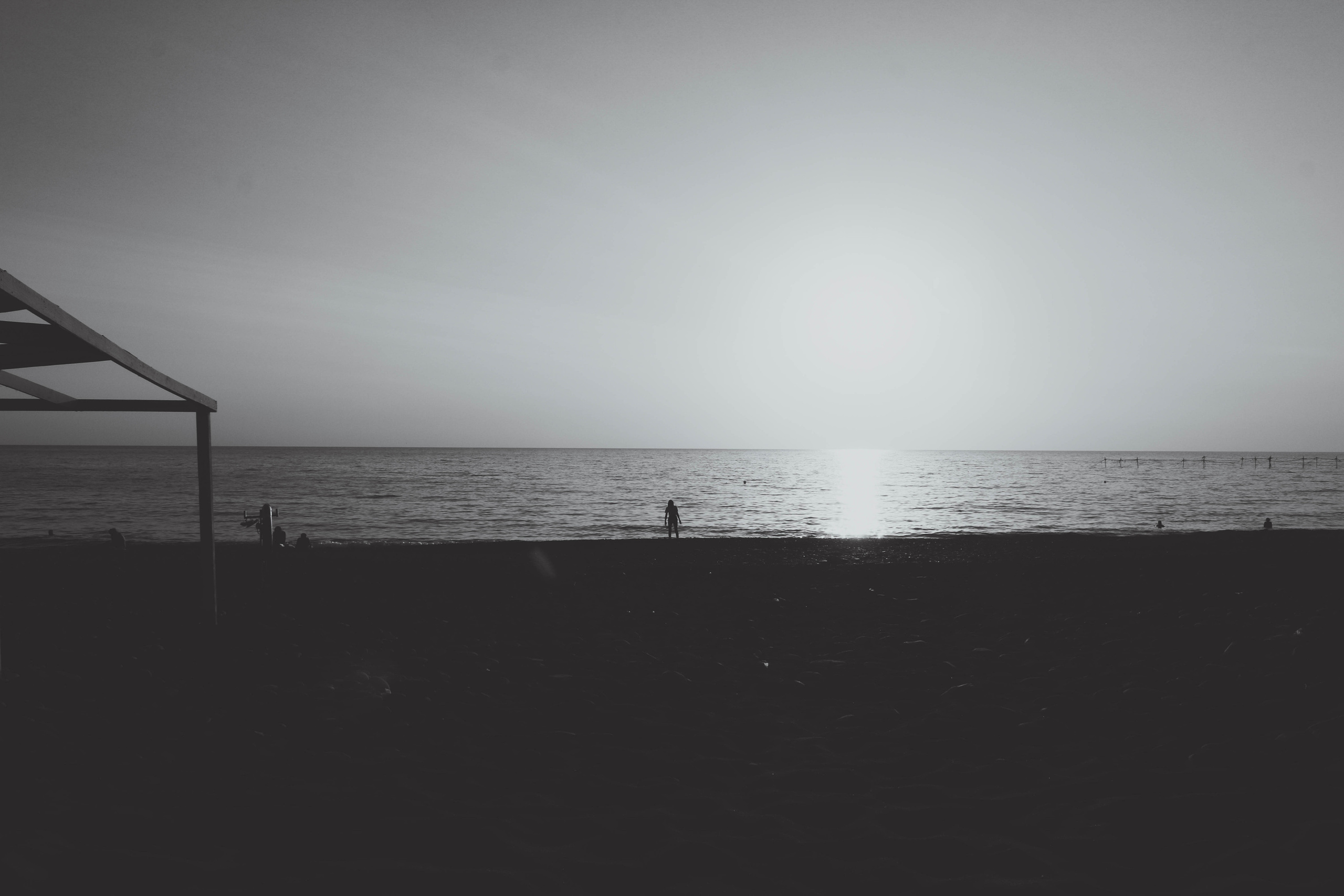 Фотограф Татьяна Марсуверских г. Жуковский, Москва. Репортажные съёмки, фотосессии, фотограф анималист, артфотограф, фотограф пейзажист. Фотограф для маркетплейсов, фотоуслуги в Жуковском Татьяна Марсуверских