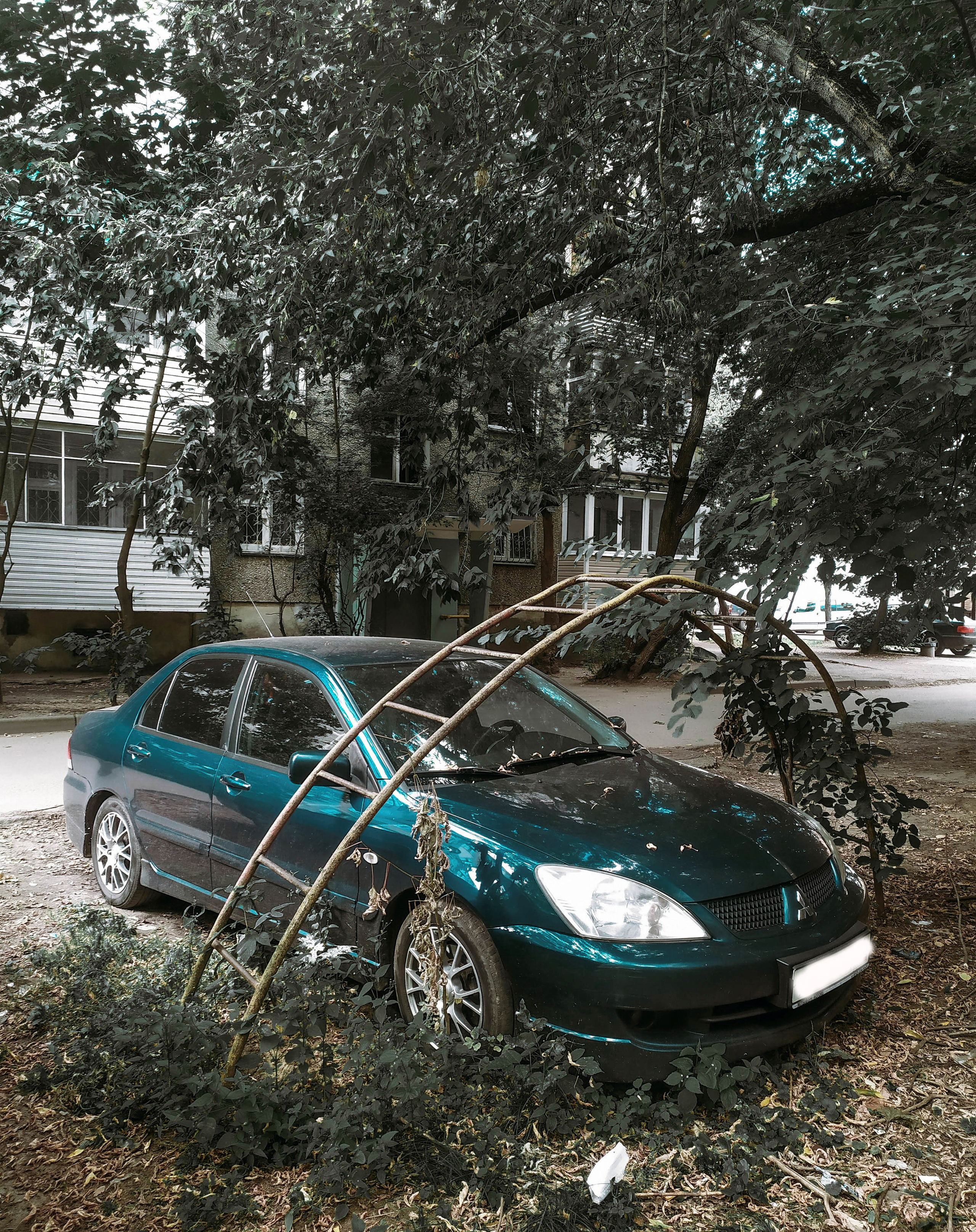 Фотограф Татьяна Марсуверских г. Жуковский, Москва. Репортажные съёмки, фотосессии, фотограф анималист, артфотограф, фотограф пейзажист. Фотограф для маркетплейсов, фотоуслуги в Жуковском Татьяна Марсуверских