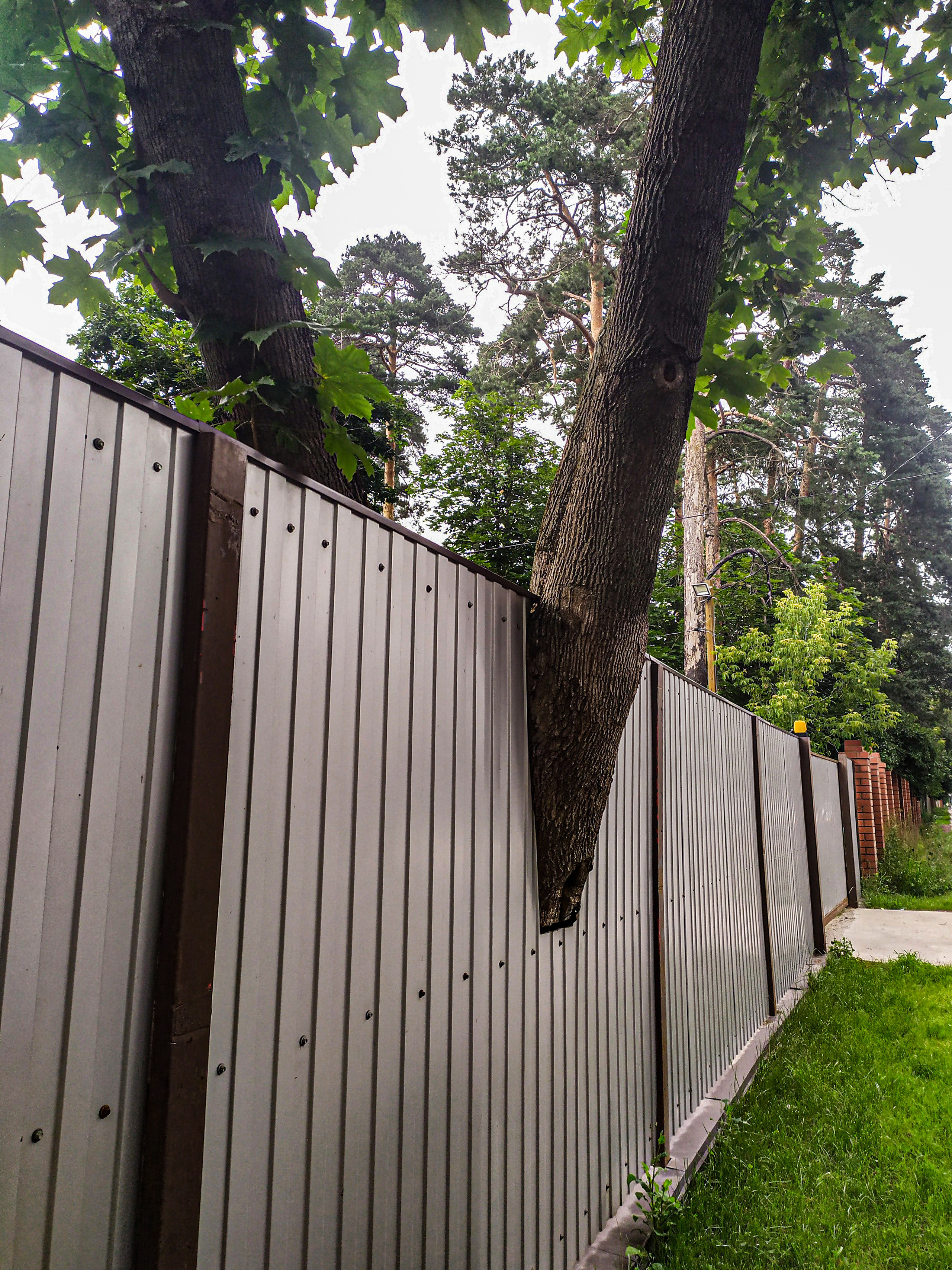 Фотограф Татьяна Марсуверских г. Жуковский, Москва. Репортажные съёмки, фотосессии, фотограф анималист, артфотограф, фотограф пейзажист. Фотограф для маркетплейсов, фотоуслуги в Жуковском Татьяна Марсуверских