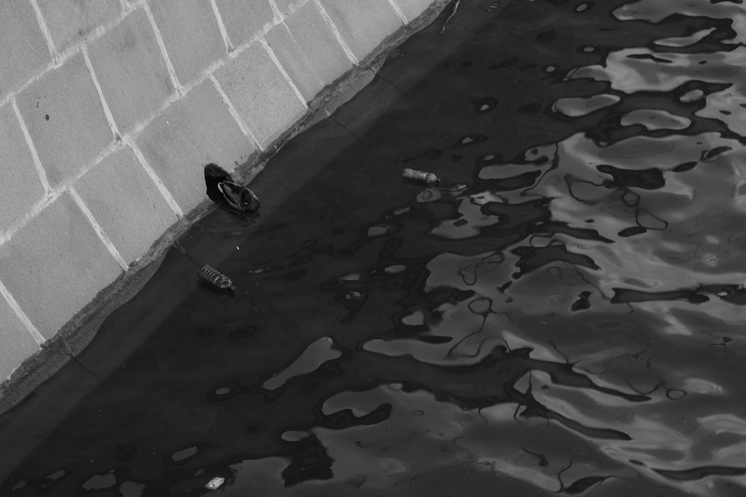 Фотограф Татьяна Марсуверских г. Жуковский, Москва. Репортажные съёмки, фотосессии, фотограф анималист, артфотограф, фотограф пейзажист. Фотограф для маркетплейсов, фотоуслуги в Жуковском Татьяна Марсуверских