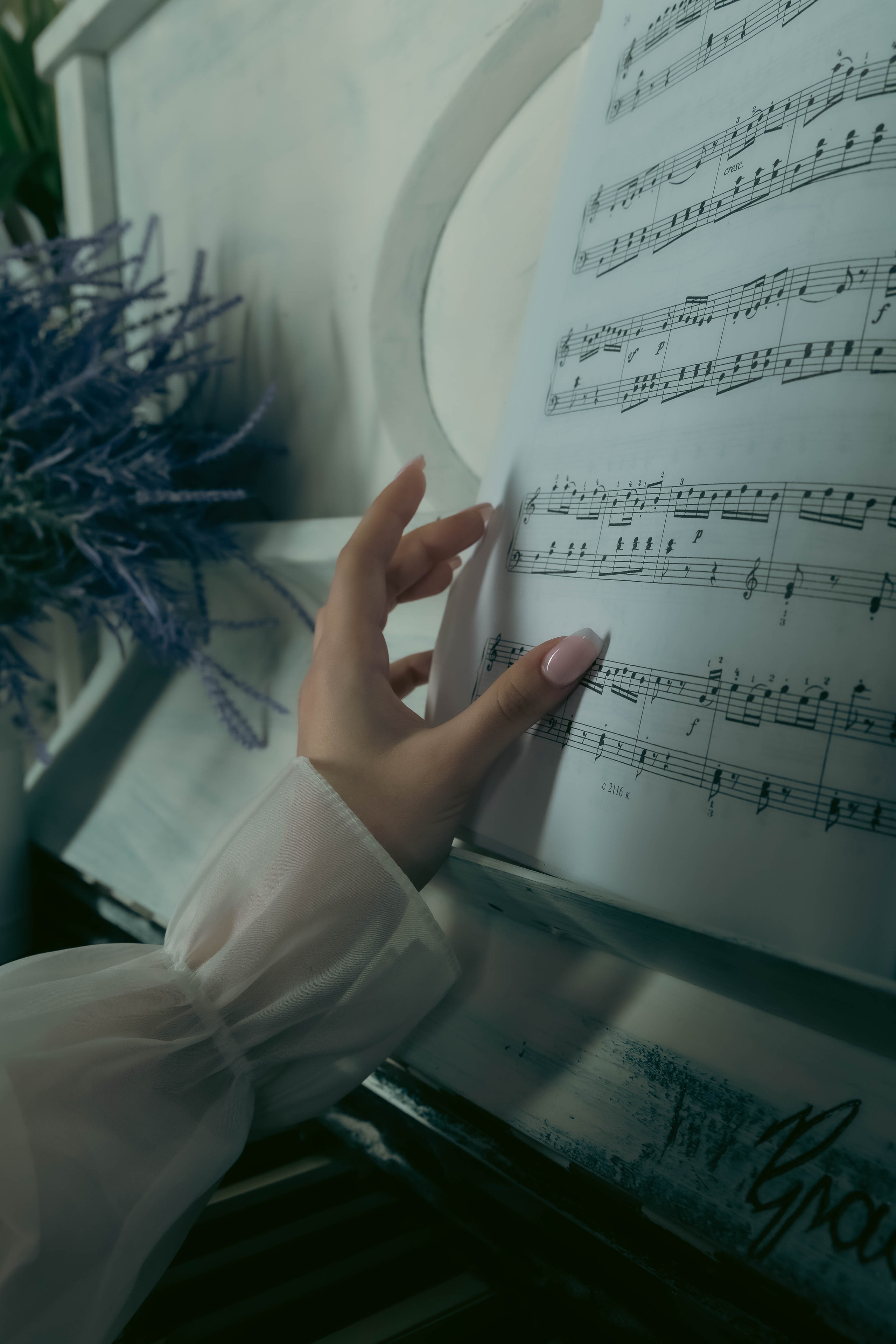 Фотограф Татьяна Марсуверских г. Жуковский, Москва. Ню, репортажные съёмки, фотосессии, фотограф анималист, фотосъёмка косплея, артфотограф. Фотограф для маркетплейсов, фотоуслуги в Жуковском Татьяна Марсуверских