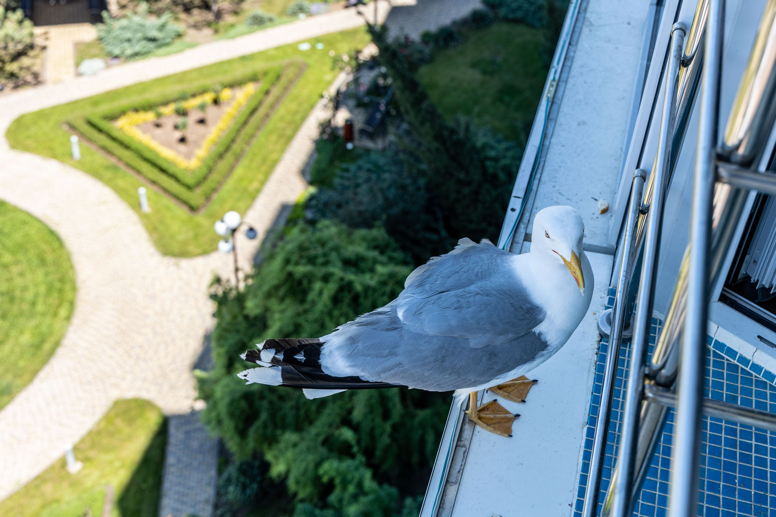 Фотограф Татьяна Марсуверских г. Жуковский, Москва и Мо. Репортажные съёмки, фотосессии,  фотограф анималист, фотосъёмка животных. Фотограф для маркетплейсов, фотоуслуги в Жуковском Татьяна Марсуверских
