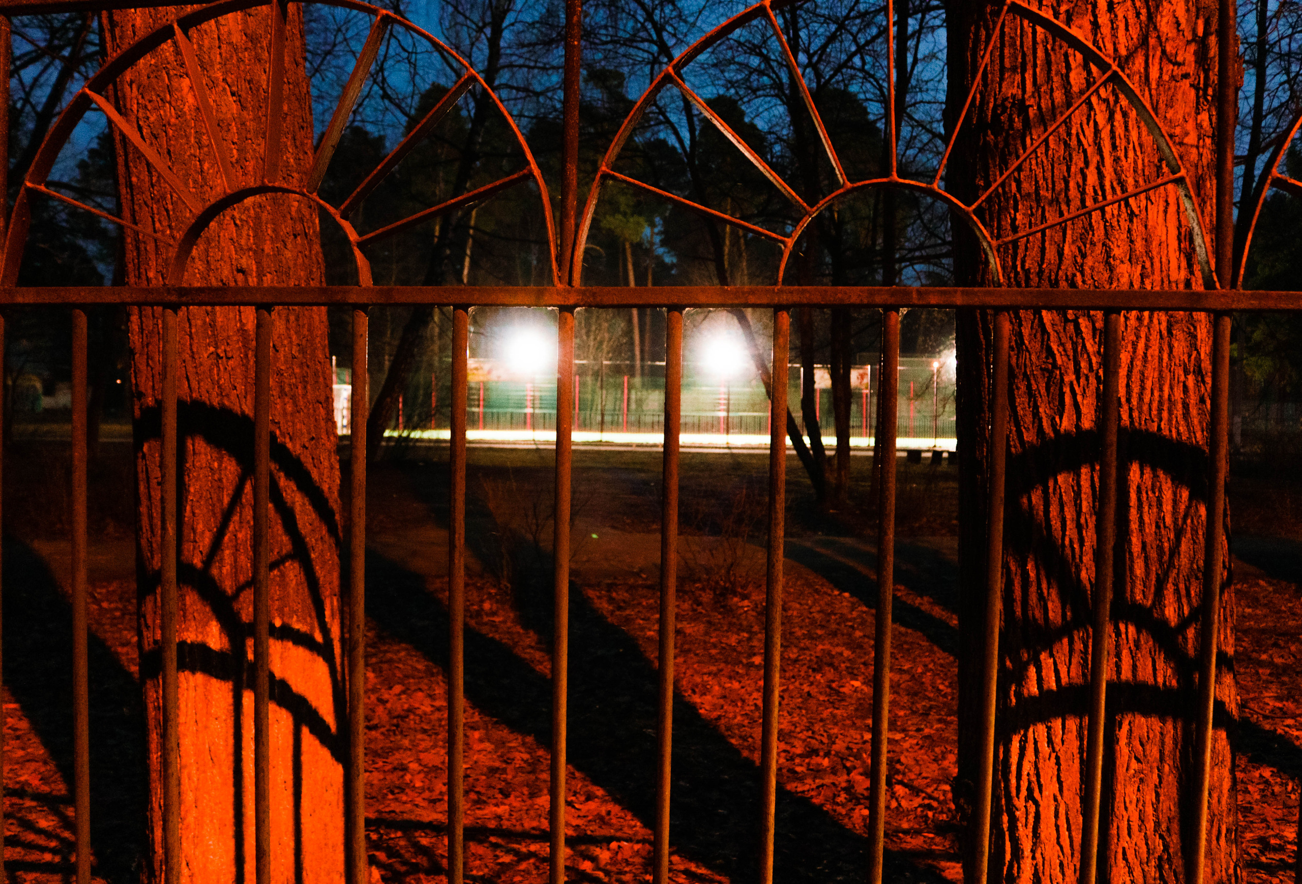 Фотограф Татьяна Марсуверских г. Жуковский, Москва. Репортажные съёмки, фотосессии, фотограф анималист, артфотограф, фотограф пейзажист. Фотограф для маркетплейсов, фотоуслуги в Жуковском Татьяна Марсуверских