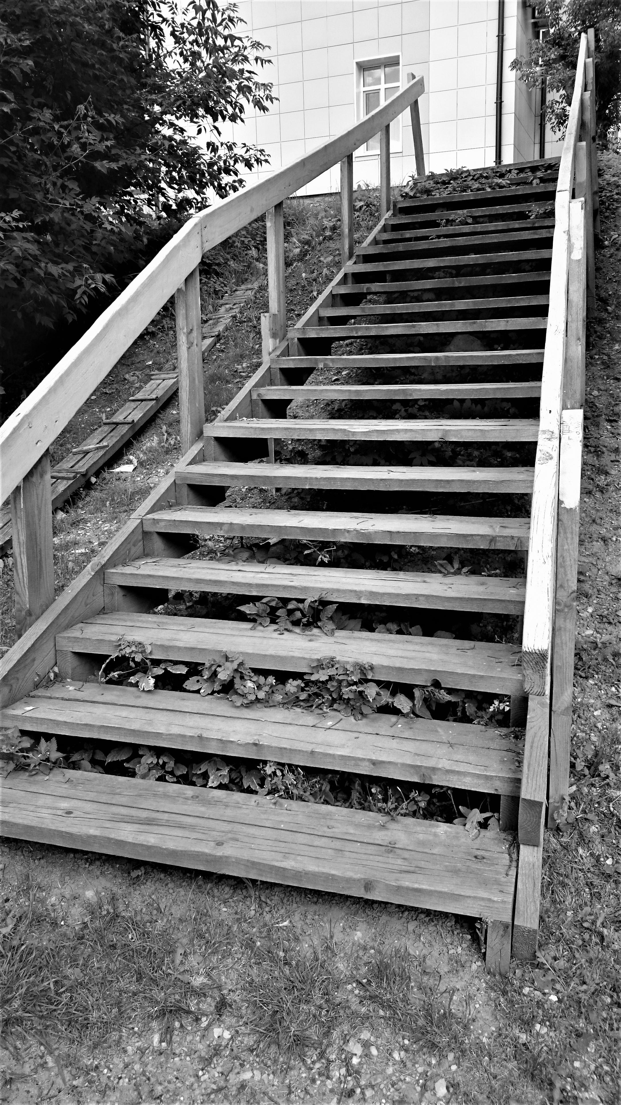 Фотограф Татьяна Марсуверских г. Жуковский, Москва. Репортажные съёмки, фотосессии, фотограф анималист, артфотограф, фотограф пейзажист. Фотограф для маркетплейсов, фотоуслуги в Жуковском Татьяна Марсуверских