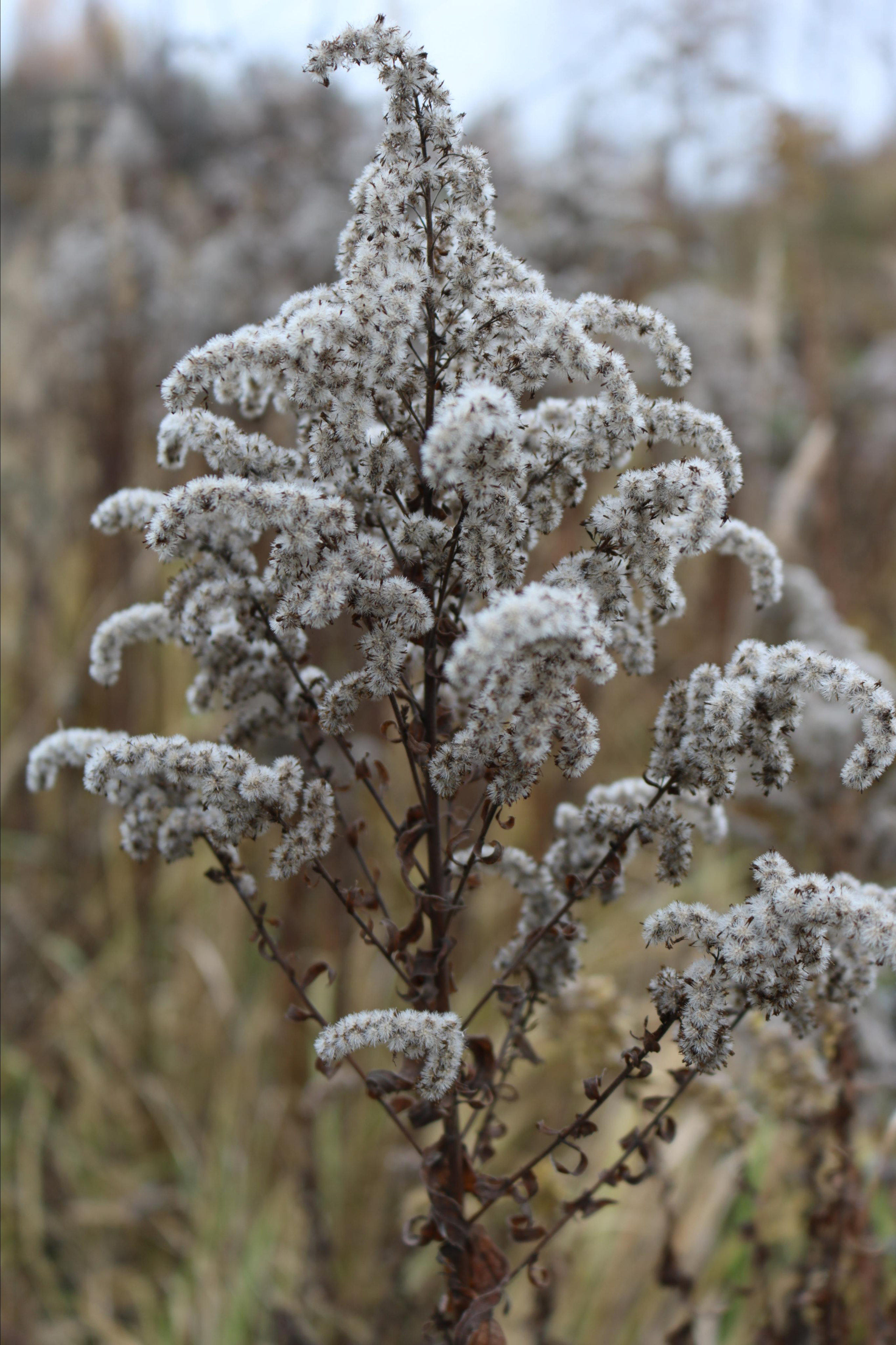 Фотограф Татьяна Марсуверских г. Жуковский, Москва. Репортажные съёмки, фотосессии, фотограф анималист, артфотограф, фотограф пейзажист. Фотограф для маркетплейсов, фотоуслуги в Жуковском Татьяна Марсуверских