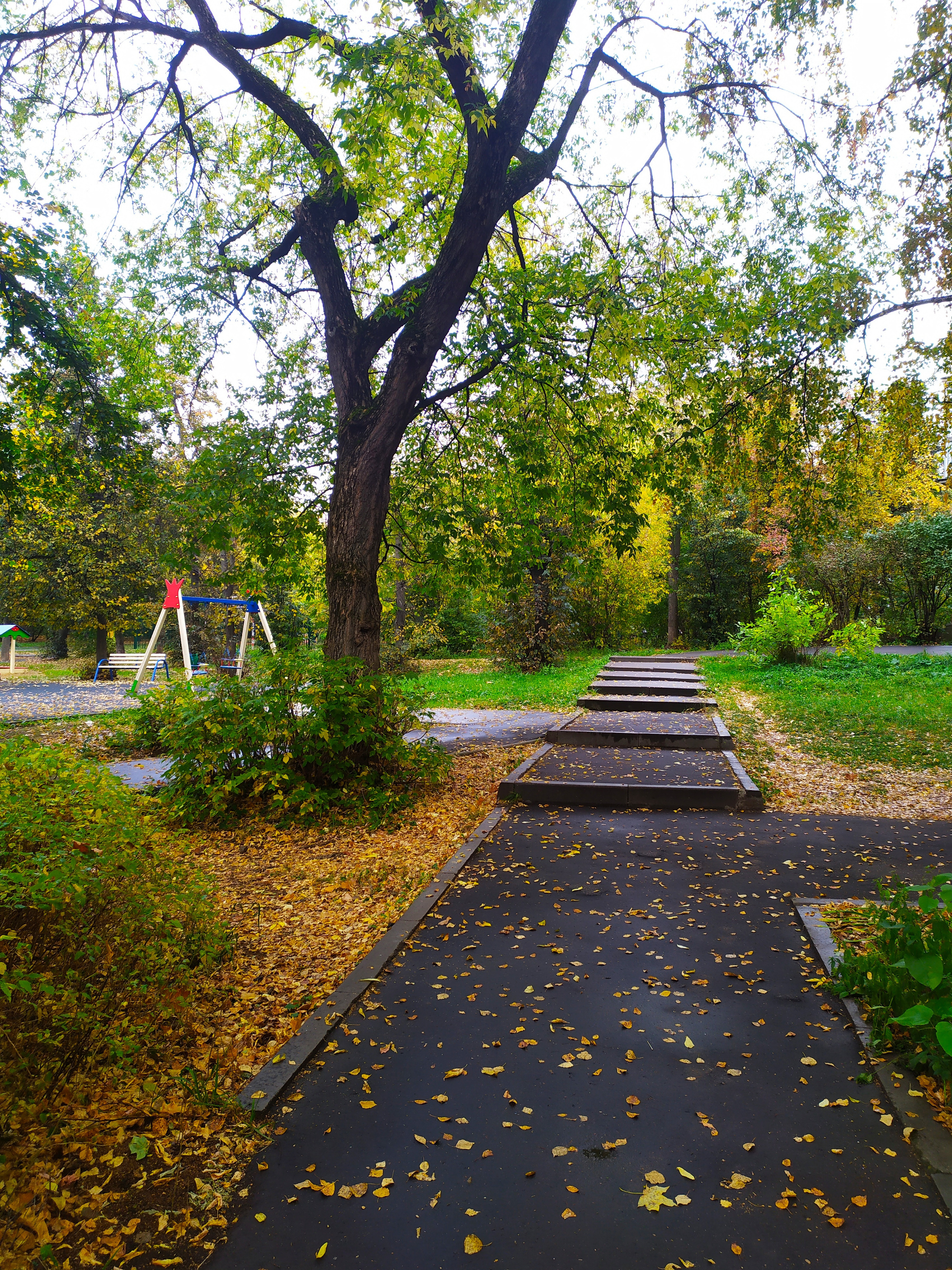 Фотограф Татьяна Марсуверских г. Жуковский, Москва. Репортажные съёмки, фотосессии, фотограф анималист, артфотограф, фотограф пейзажист. Фотограф для маркетплейсов, фотоуслуги в Жуковском Татьяна Марсуверских