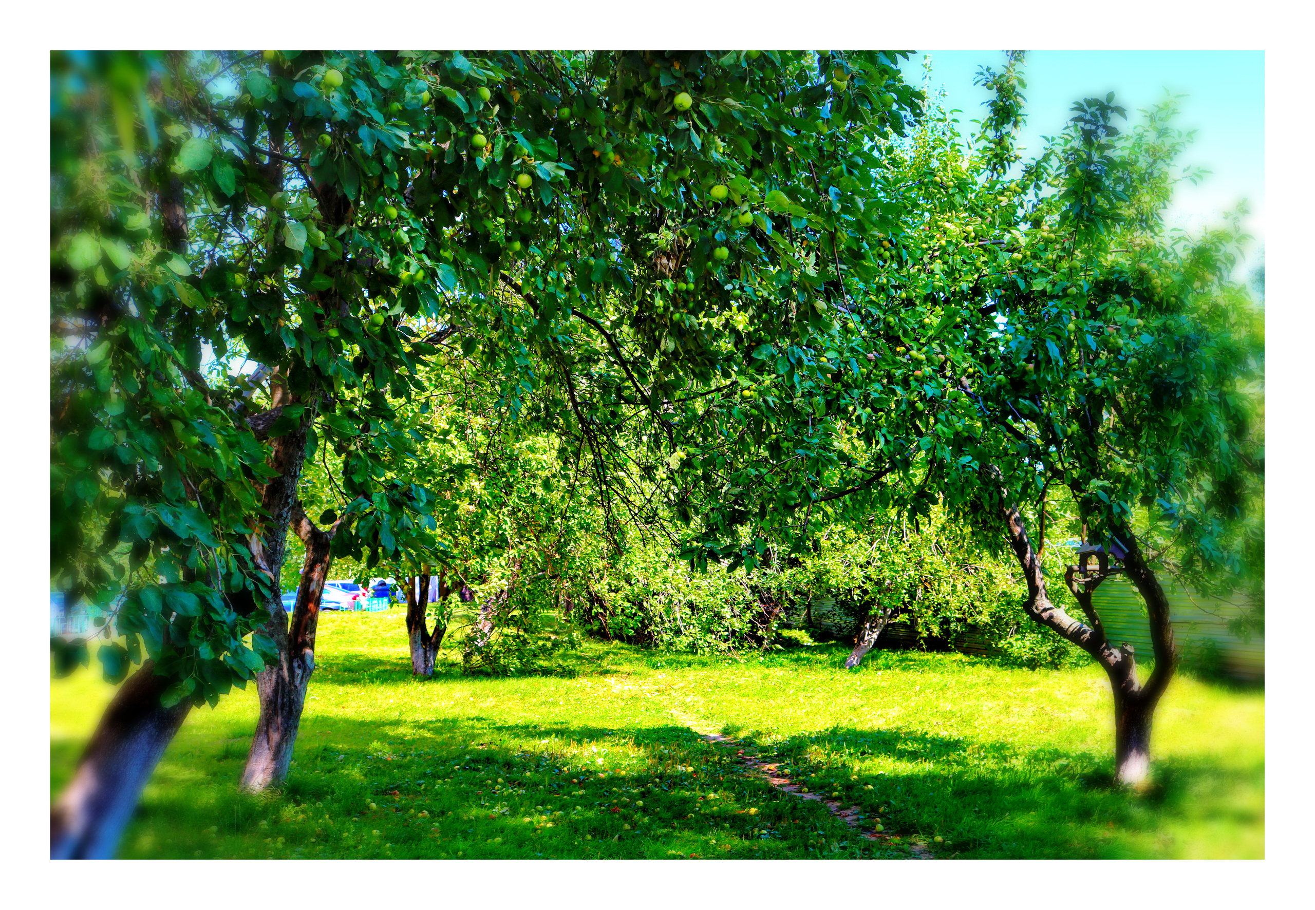 Фотограф Татьяна Марсуверских г. Жуковский, Москва. Репортажные съёмки, фотосессии, фотограф анималист, артфотограф, фотограф пейзажист. Фотограф для маркетплейсов, фотоуслуги в Жуковском Татьяна Марсуверских