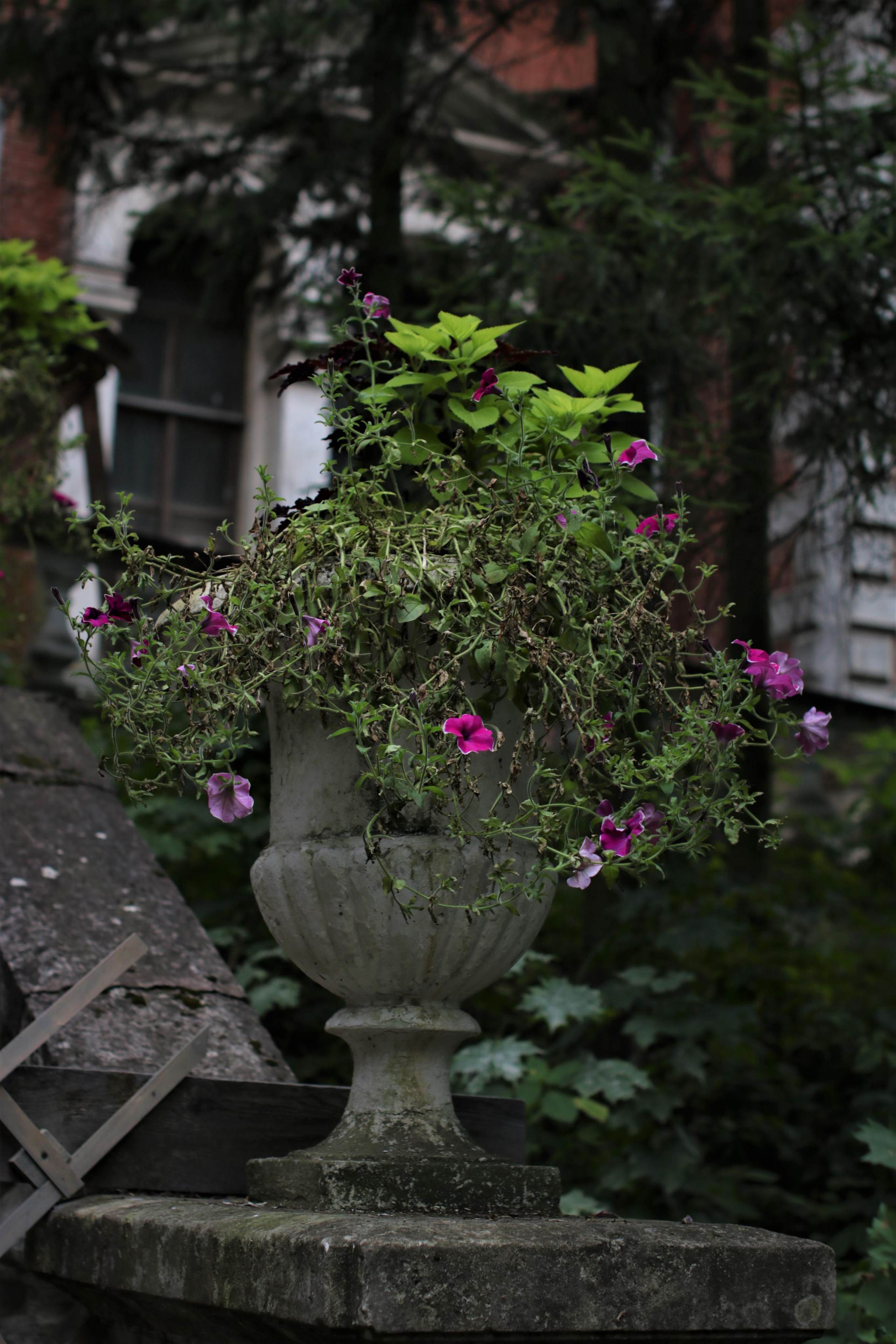 Фотограф Татьяна Марсуверских г. Жуковский, Москва. Репортажные съёмки, фотосессии, фотограф анималист, артфотограф, фотограф пейзажист. Фотограф для маркетплейсов, фотоуслуги в Жуковском Татьяна Марсуверских