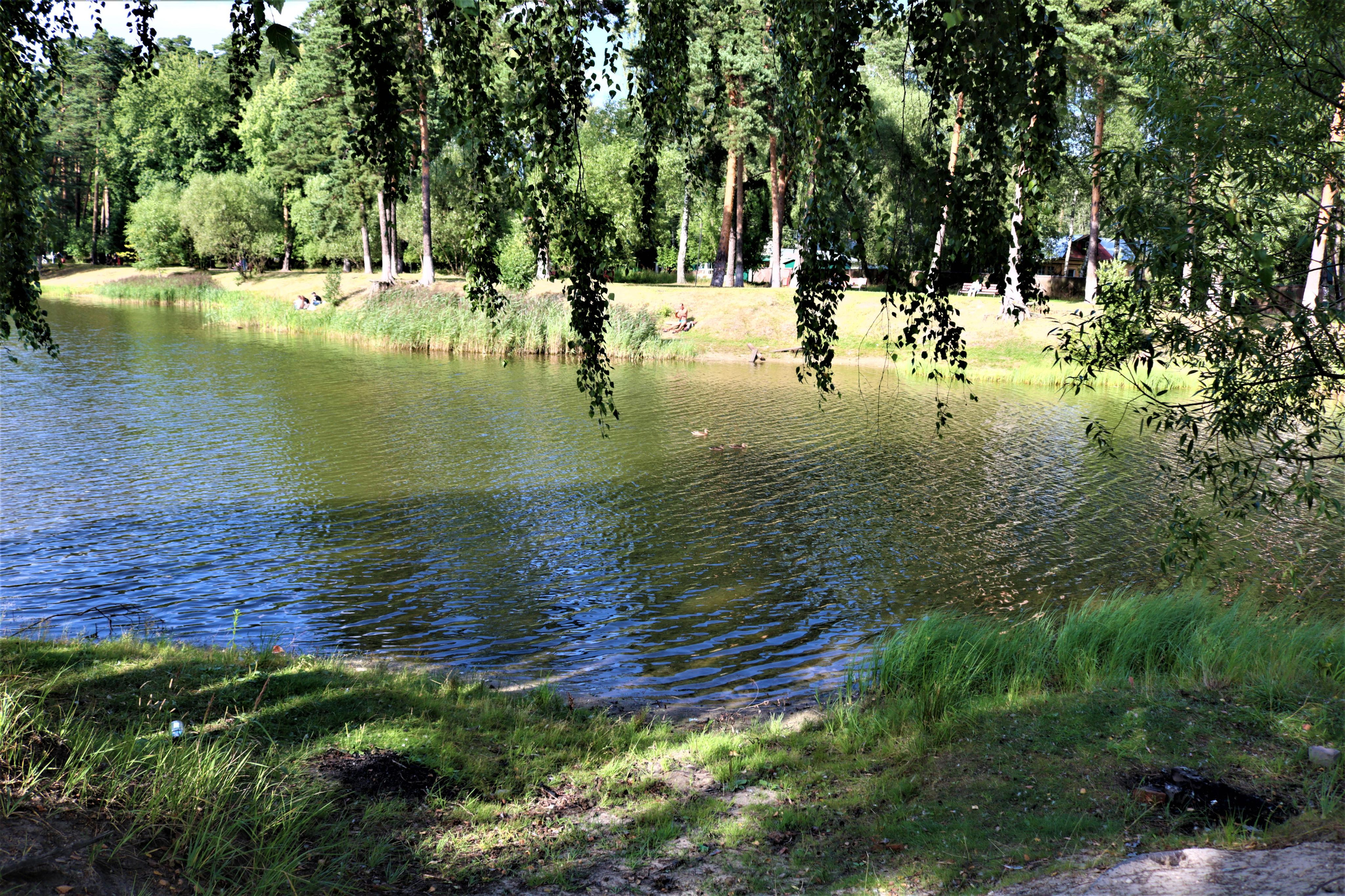 Фотограф Татьяна Марсуверских г. Жуковский, Москва. Репортажные съёмки, фотосессии, фотограф анималист, артфотограф, фотограф пейзажист. Фотограф для маркетплейсов, фотоуслуги в Жуковском Татьяна Марсуверских