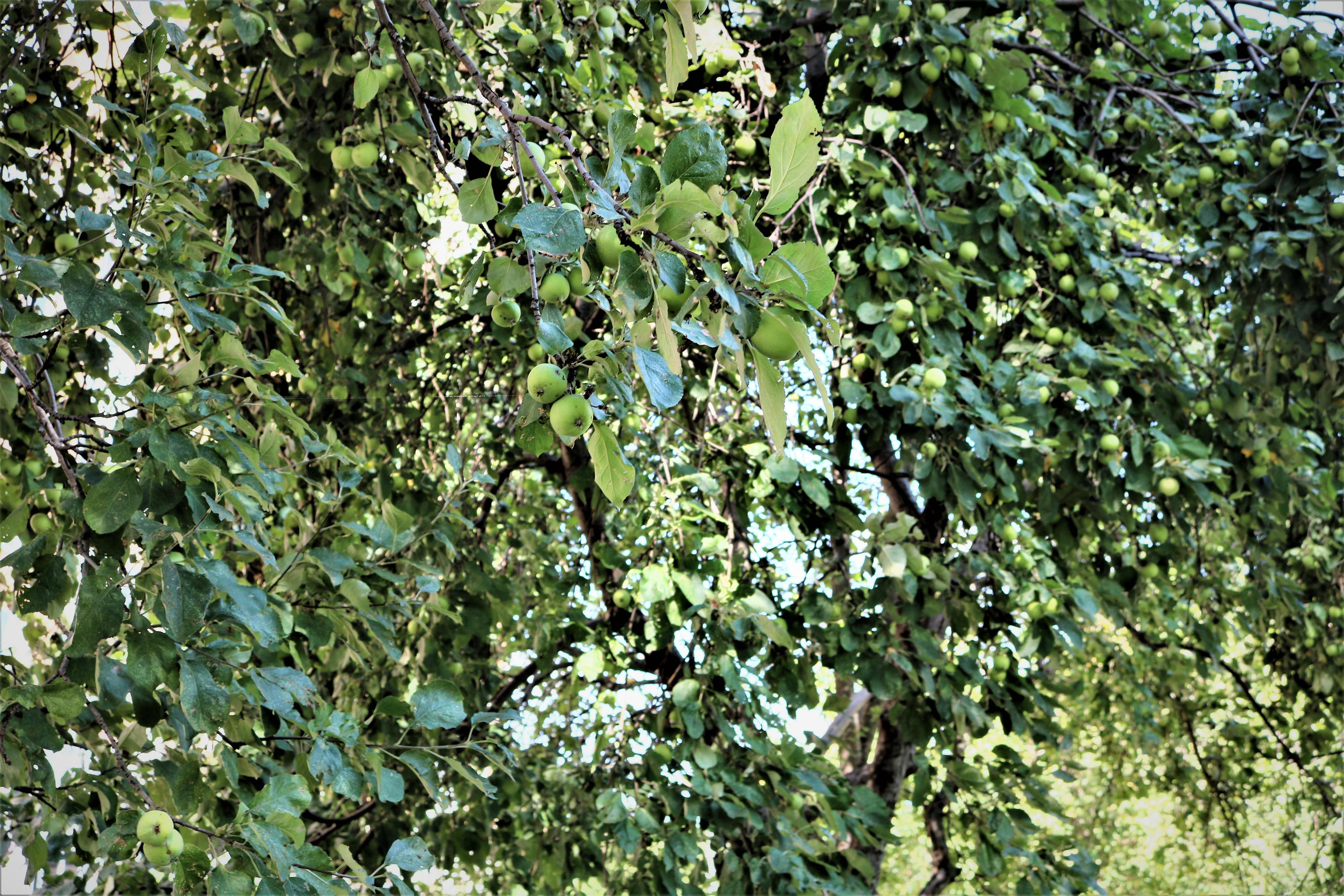 Фотограф Татьяна Марсуверских г. Жуковский, Москва. Репортажные съёмки, фотосессии, фотограф анималист, артфотограф, фотограф пейзажист. Фотограф для маркетплейсов, фотоуслуги в Жуковском Татьяна Марсуверских