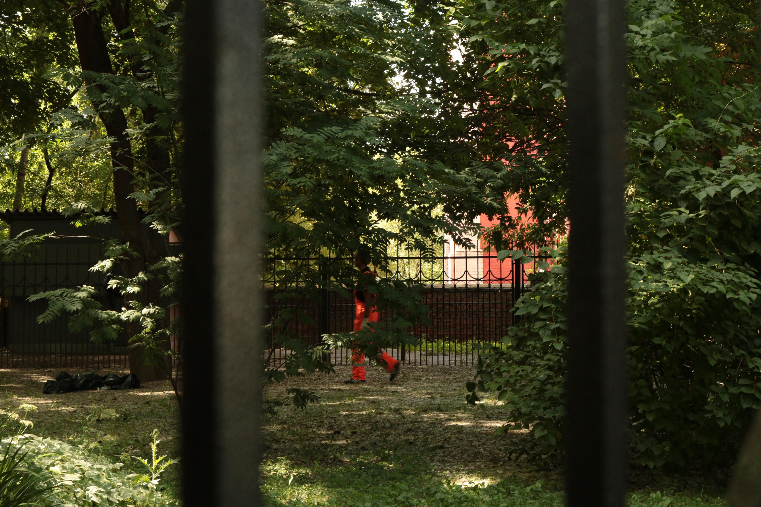 Фотограф Татьяна Марсуверских г. Жуковский, Москва. Репортажные съёмки, фотосессии, фотограф анималист, артфотограф, фотограф пейзажист. Фотограф для маркетплейсов, фотоуслуги в Жуковском Татьяна Марсуверских