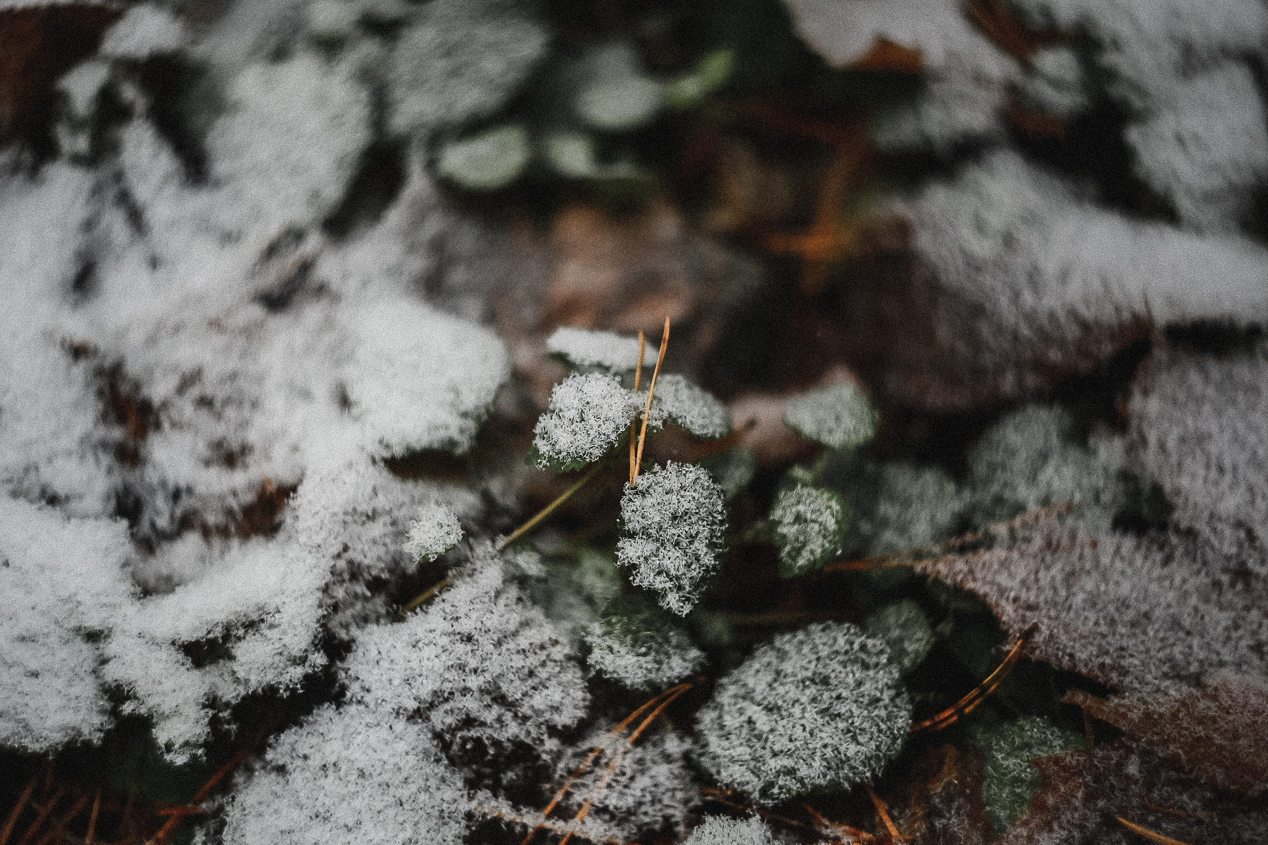 Магия обыкновенного. Фотограф-документалист и фототерапевт Настя Китаева. Город Москва