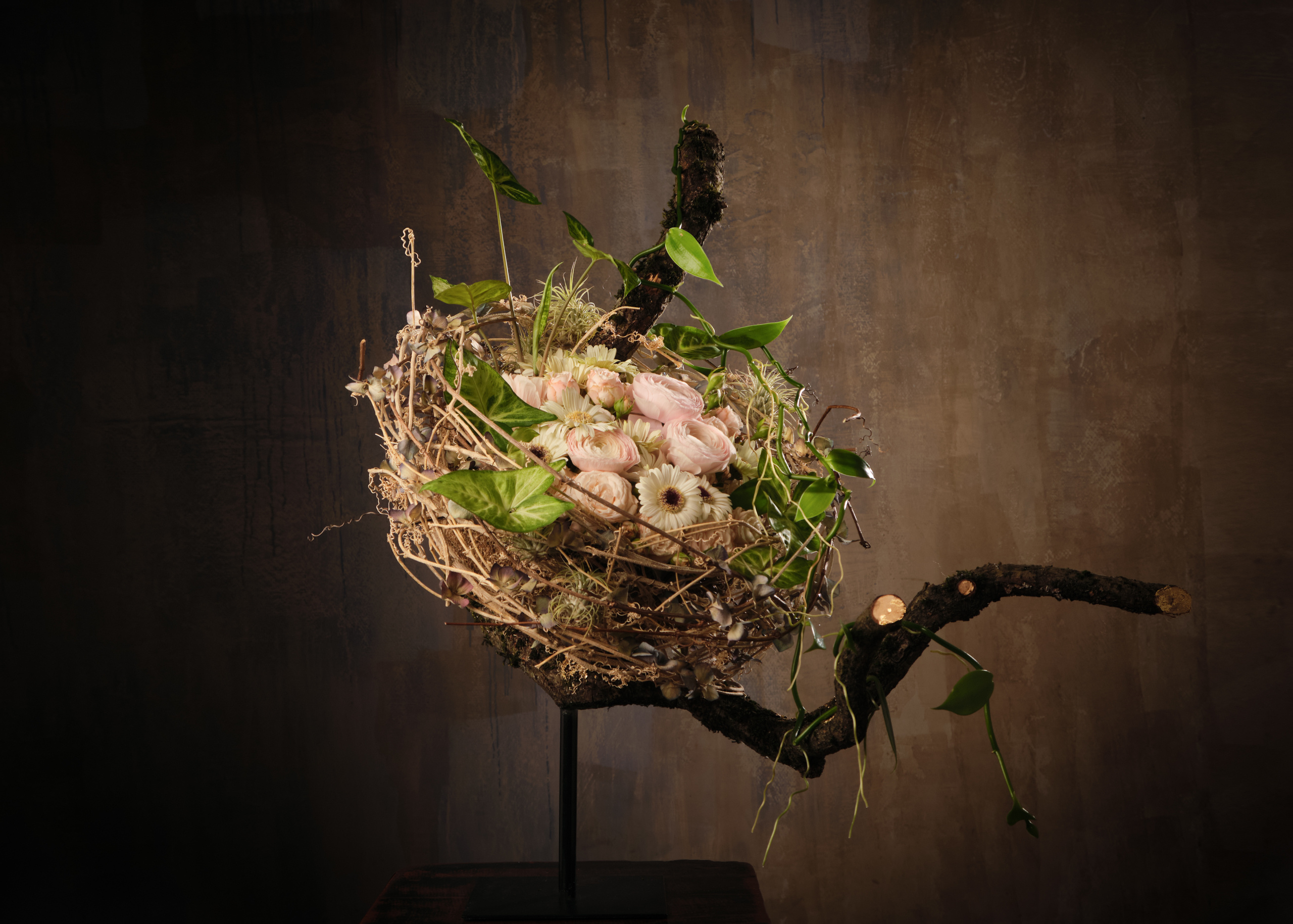 Рекламная фотография. Фотограф и видеограф в Москве Алексей Толстиков