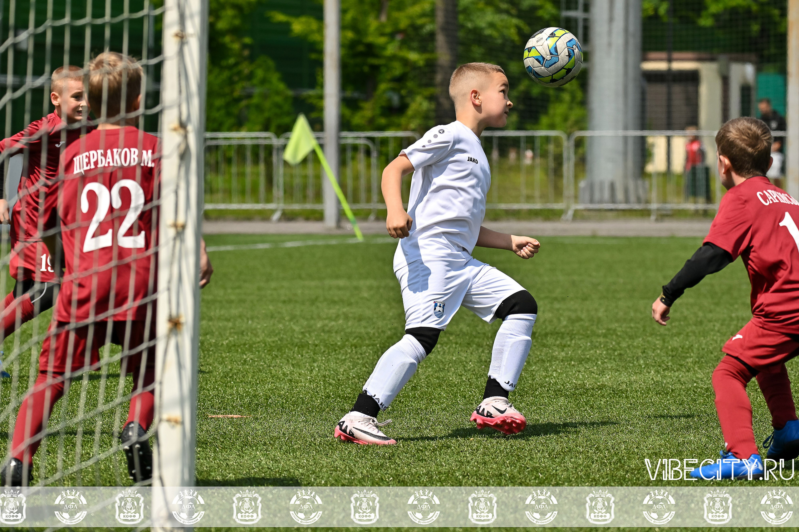 Большие Звезды светят Малым. VIBECITY.RU Вайб Сити Ру Фоторепортажи Фотоотчеты Калининград