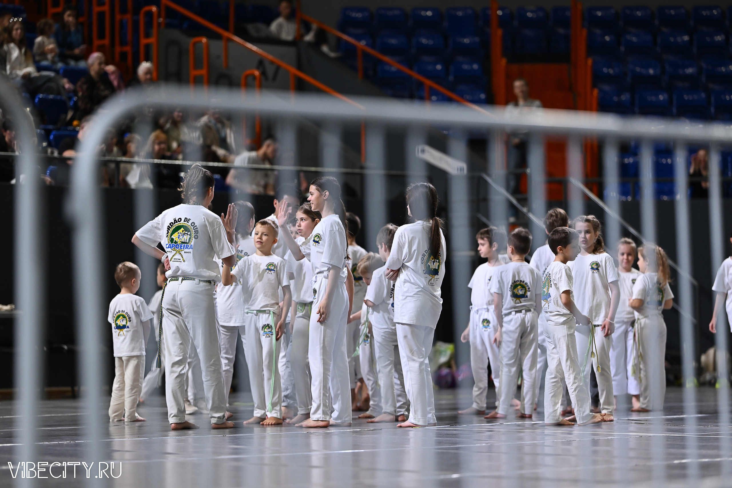 Капоэйра. Вручение поясов. VIBECITY.RU Вайб Сити Ру Фоторепортажи Фотоотчеты Калининград