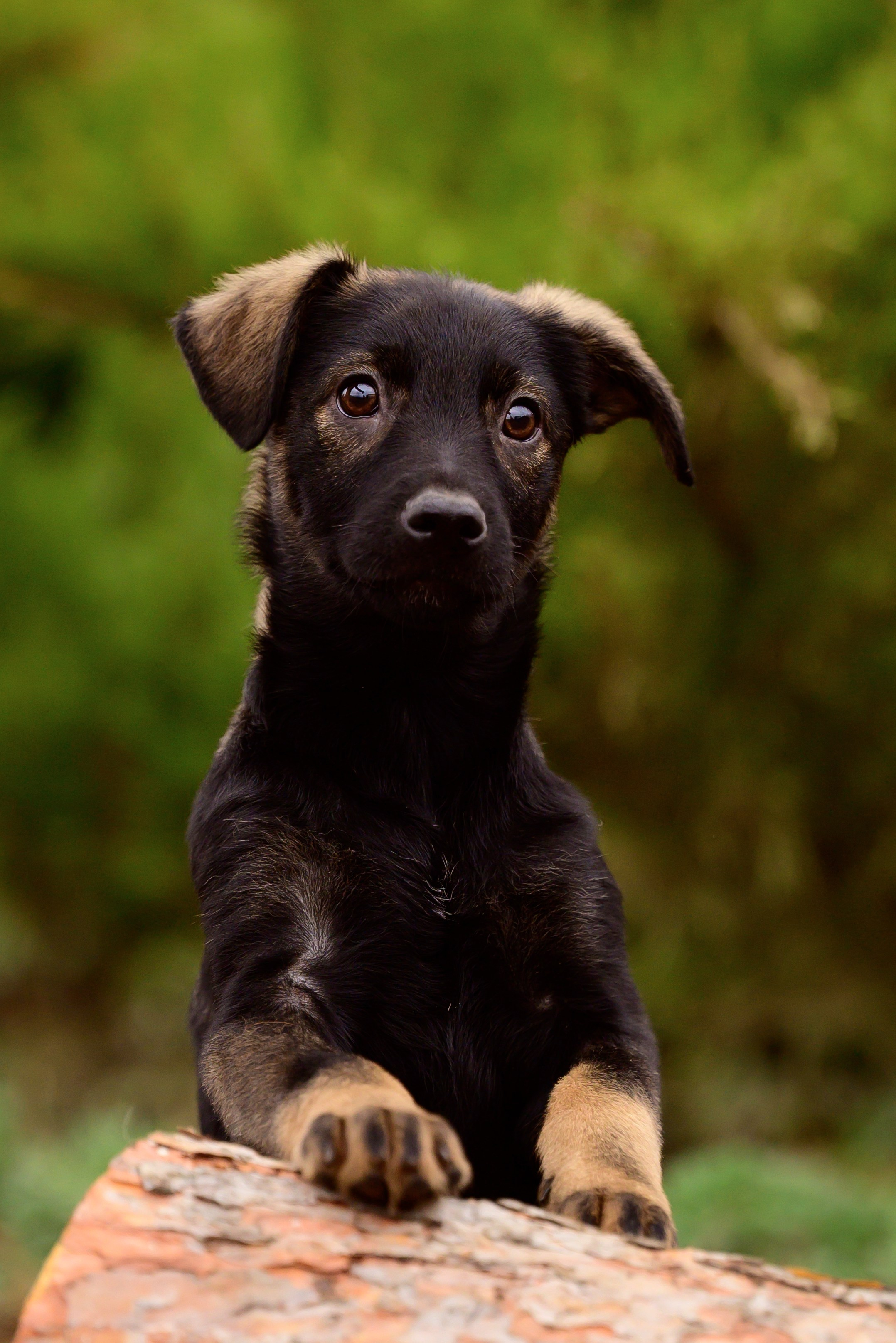 Круассанчики. Мила Астахова