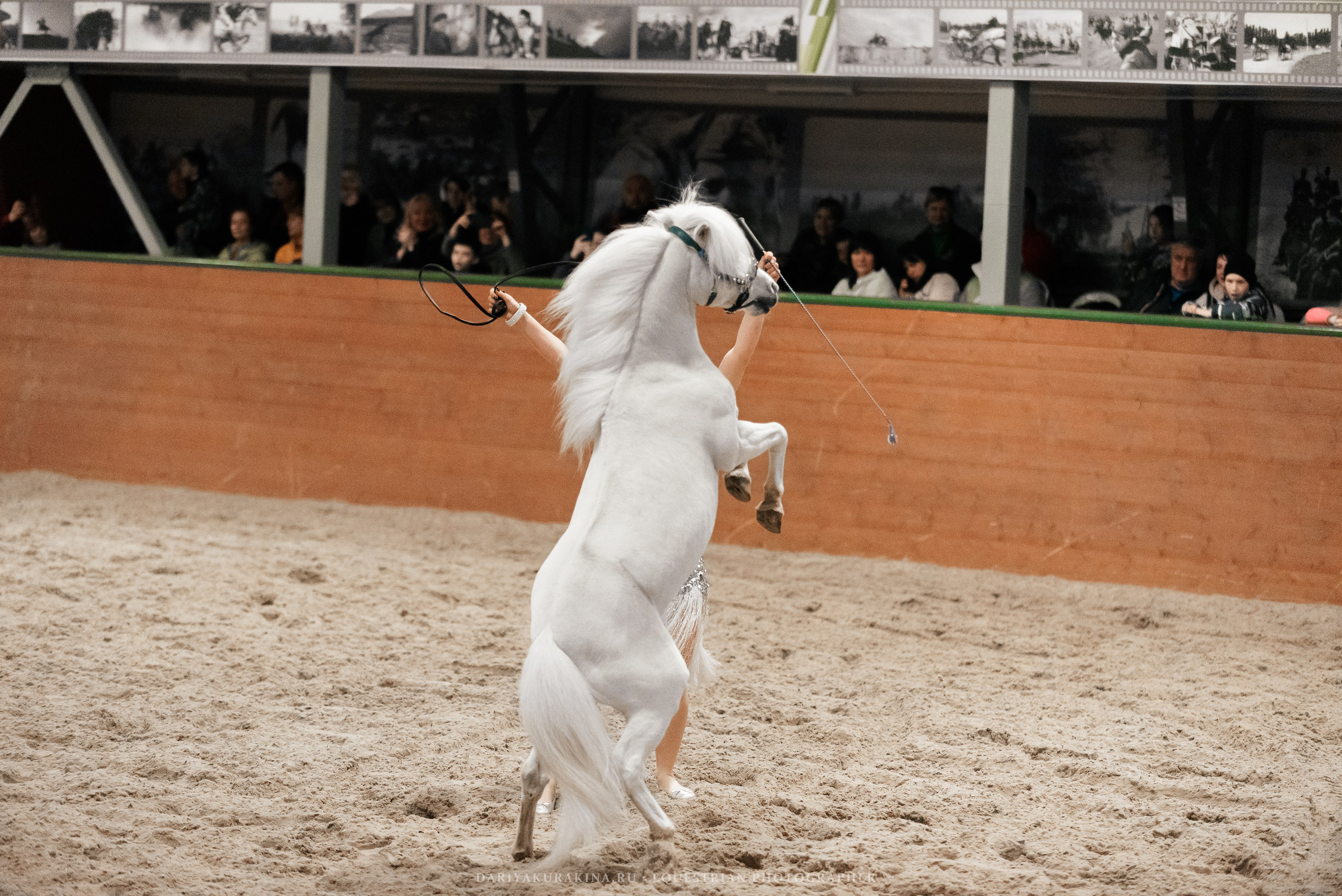 Конное представление «Дыхание Звёзд». Конный фотограф Куракина Дарья • Фотосессии с лошадьми