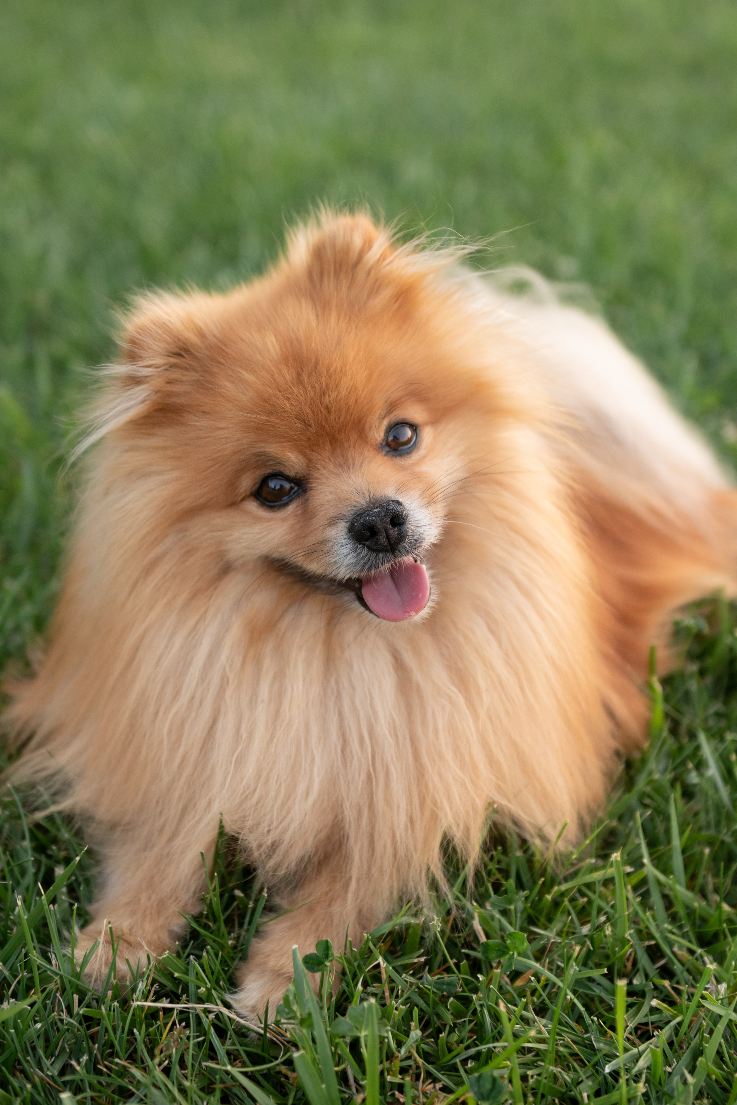 День рождения Богдана. Семейный фотограф Ирина Сгибнева