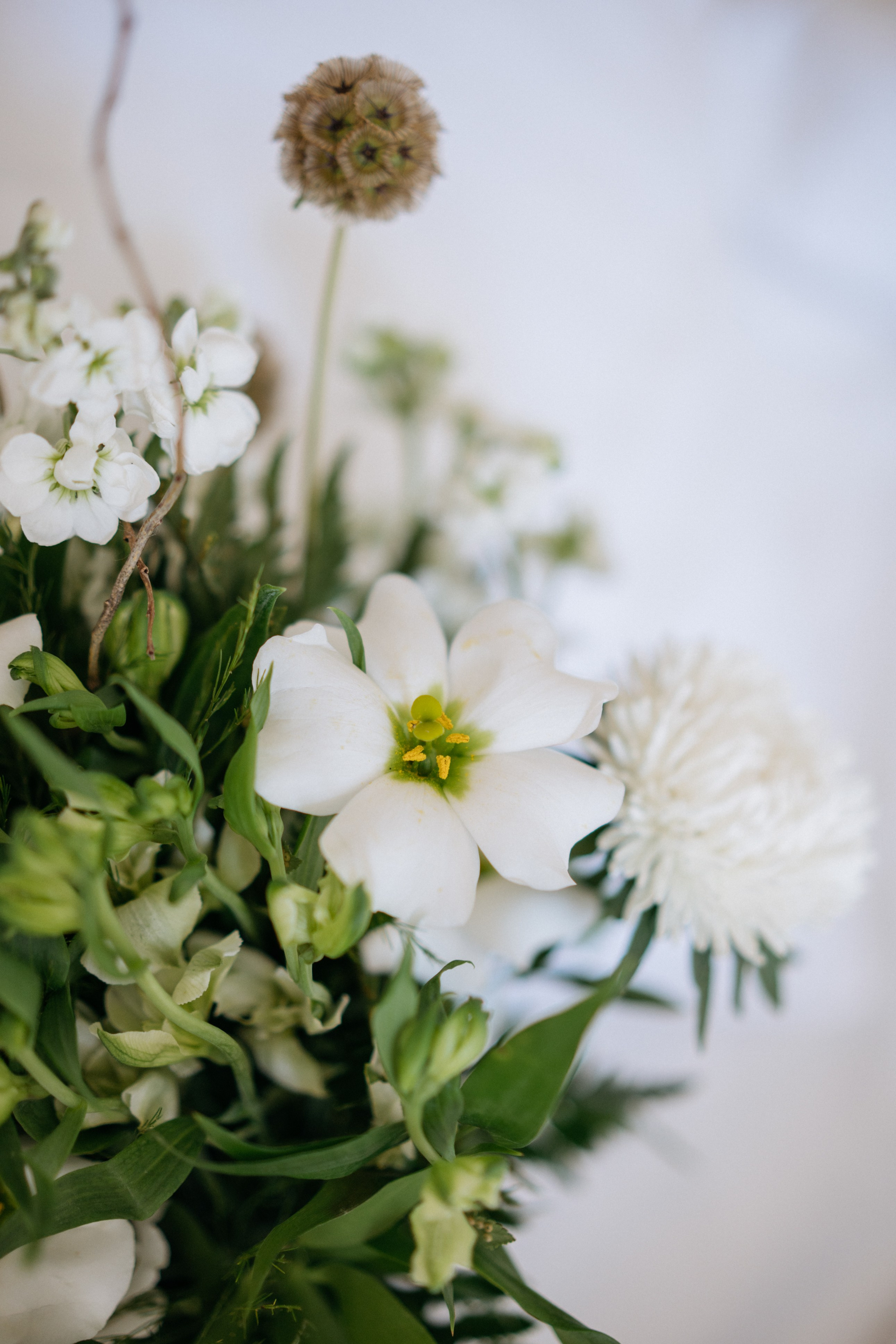 Илья и Алина. Свадебный и семейный фотограф в Калининграде Анастасия Гриценко